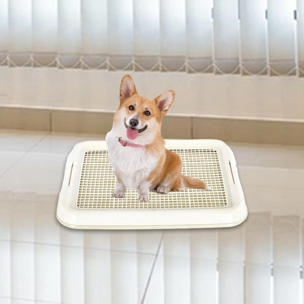 MagiDeal Pot de Toilette pour Chien, Facile à Nettoyer, intérieur Amovible, antidérapant, litière pour Chien, Plateau d'entraînement en Maille pour Chiens de, Blanc