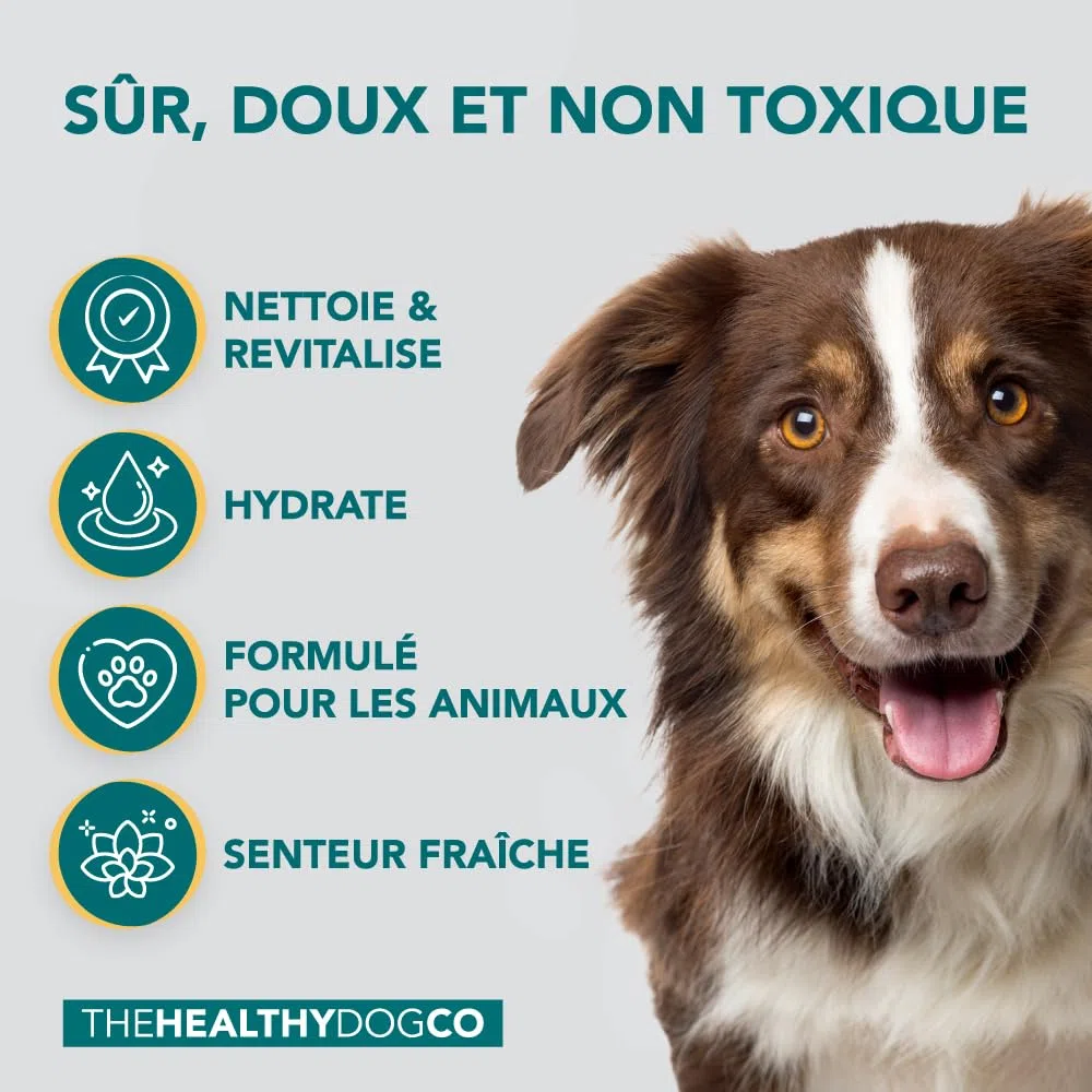 Shampooing Antipuces 100% Naturel | Citronnelle | Le Meilleur Traitement pour Chiens & Chats | Formule Efficace & sans Danger | Tue et Combat Les Puces Tiques & Poux