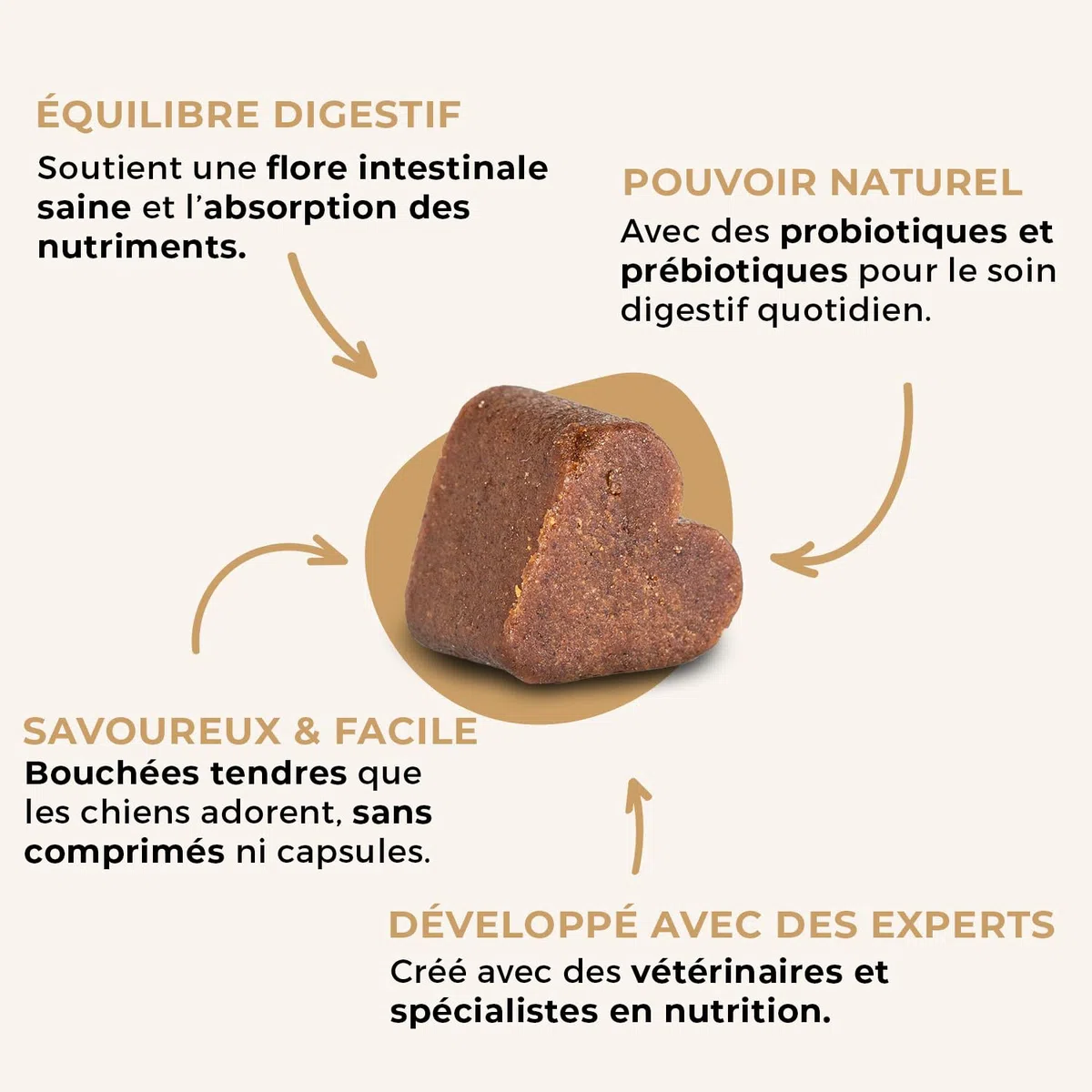 SwissVet Probiotique Chien - 60 Bouchées Flore Intestinale & Digestion - Prébiotiques (Inuline) & Bacillus Velezensis - Anti Diarrhée, Gaz & Ballonnements - Immunité & Transit Sain