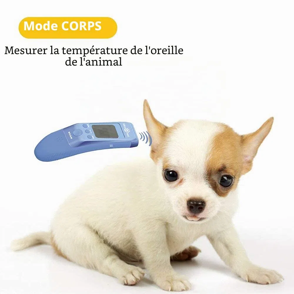 Thermomètre clinique rapide pour animaux de compagnie pour chiens, modes corporels Mesure avec précision la température des oreilles de l'animal