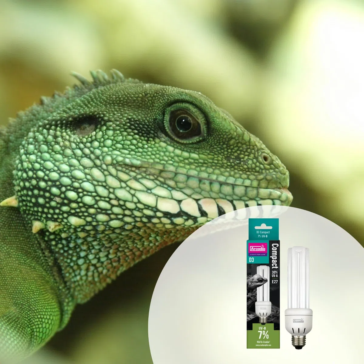 Arcadia D3 Forest Mini ampoule compacte 7 % UVB triple U à visser pour reptiles 13 W