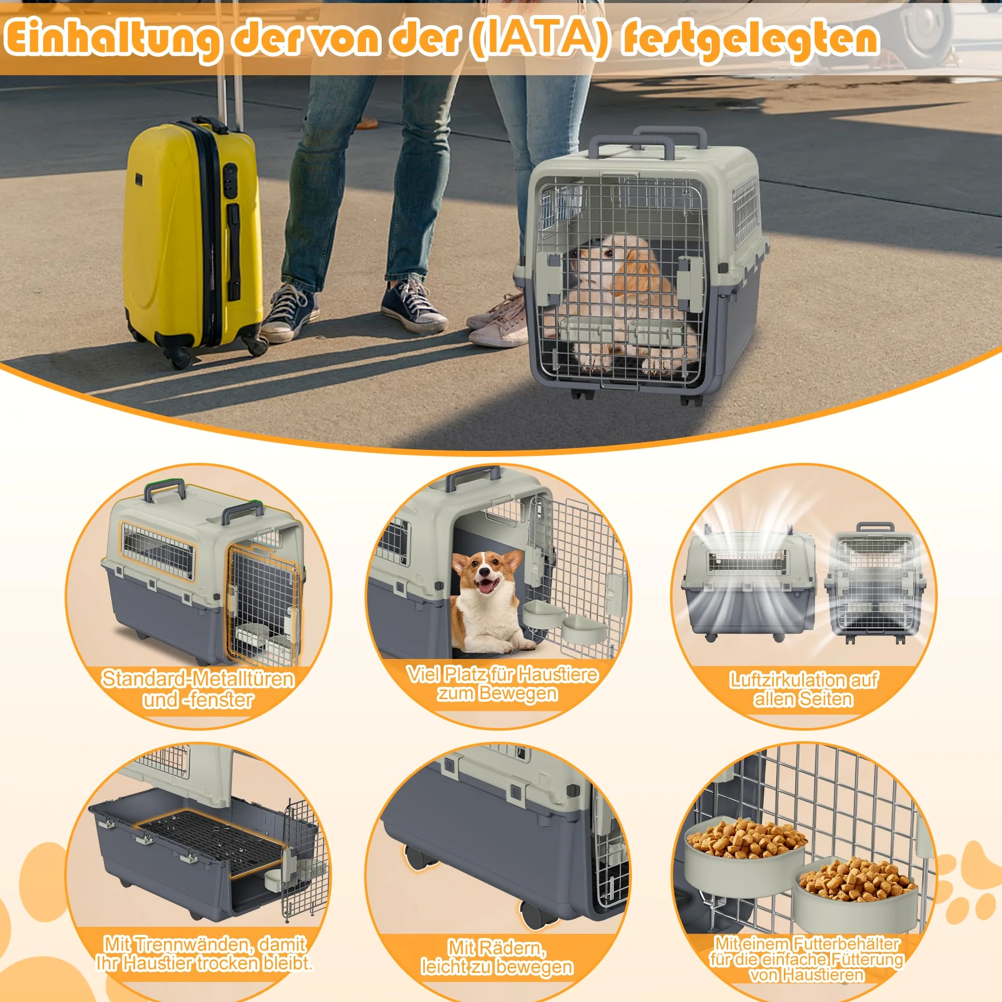 LZQ Boîte de transport pour chat, chien et chat, en plastique, pour petits animaux, chien, lapin (L 67 x l 51 x H 58,5 cm)