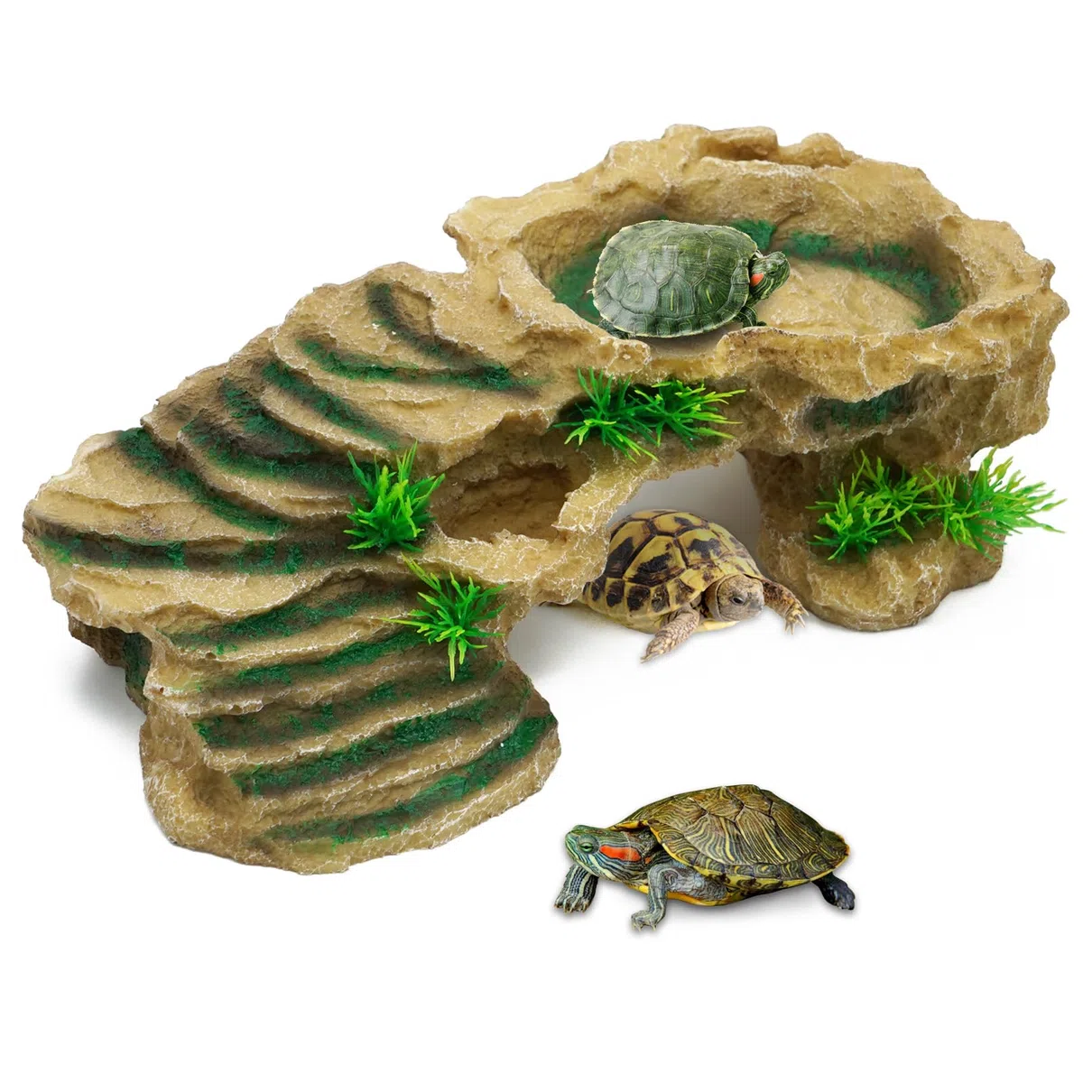 Plateforme de tortue en résine pour reptiles avec rampe d'escalade pour reptiles et grenouilles