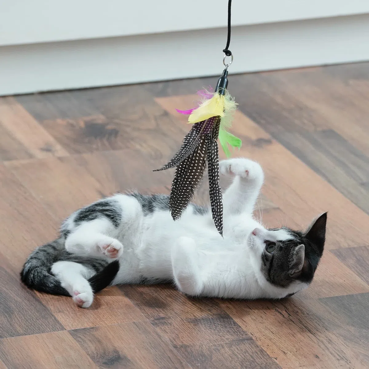 Canne à Chat télescopique – Jouet interactif avec Plumes & Bandes – 2 recharges incluses – Stable & sûr – Stimule l’Instinct de Chasse, l’Intelligence & Le Bien-être du Chat