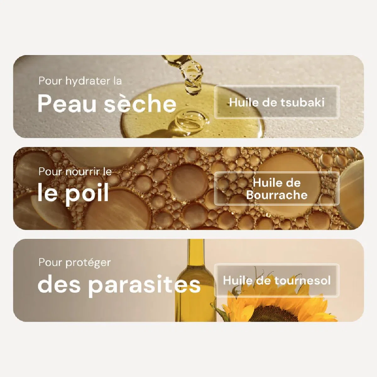 Huile De Soin Chien Argan Et Bourrache – Hydratation Peau, Poil – Nutrition Et Brillance – Texture Légère sans Effet Gras – Soin pour Chien Quotidien Pelage - Poil Sec ou Humide
