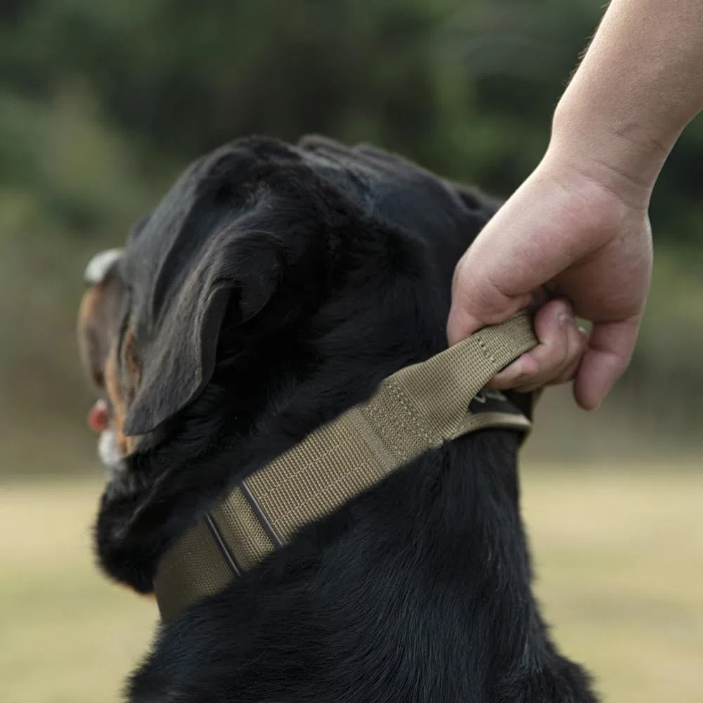 TSPRO Premium Collier Tactique Chien Collier Chien avec Poignée, Reglable Collier pour Chien Boucle en Métal à Déverrouillage Rapide pour Chiens de Taille Moyenne à Grande (Imprimé Léopard M)