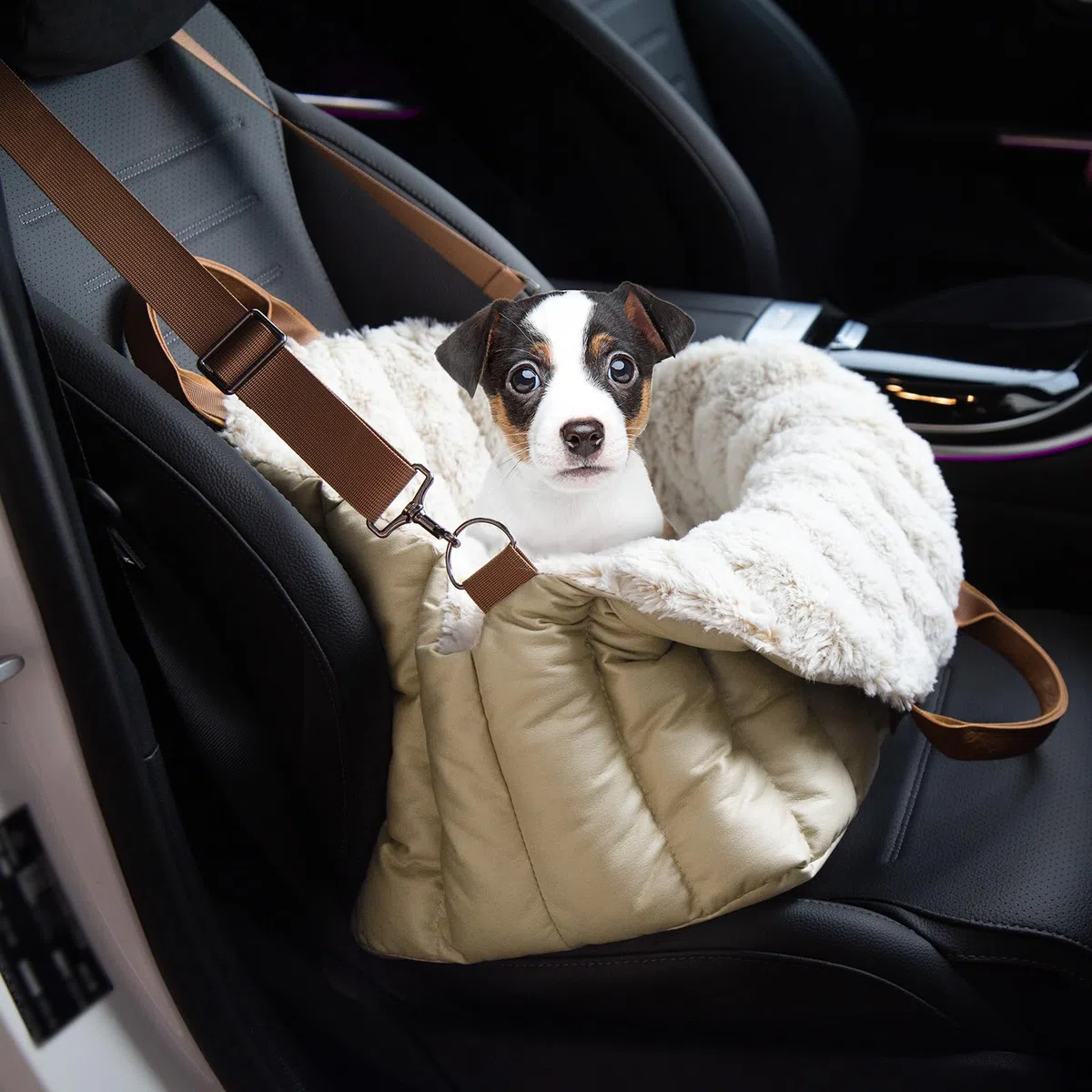 ClevaHome Sac de Transport pour Petit Chien – Siège Auto Antidérapant et Panier de Voyage pour Chien jusqu'à 4,5 kg, Lit Transportable Élégant pour Intérieur et Extérieur