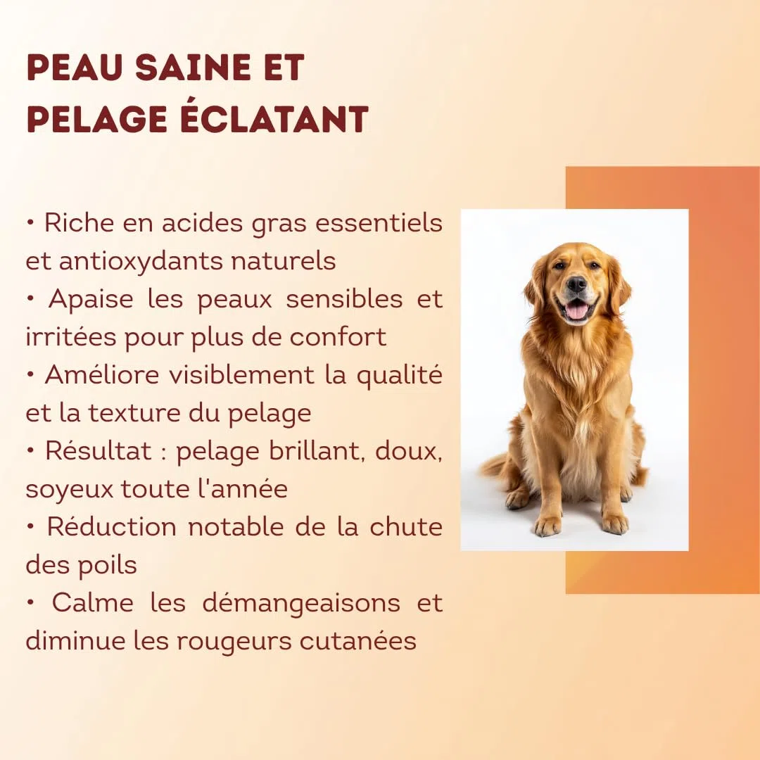 1L Huile de Sardine 100% Naturelle pour Chiens, Chats et Chevaux, Très Riche en Oméga 3-6-9 et Vitamines E | Fabriqué en UE