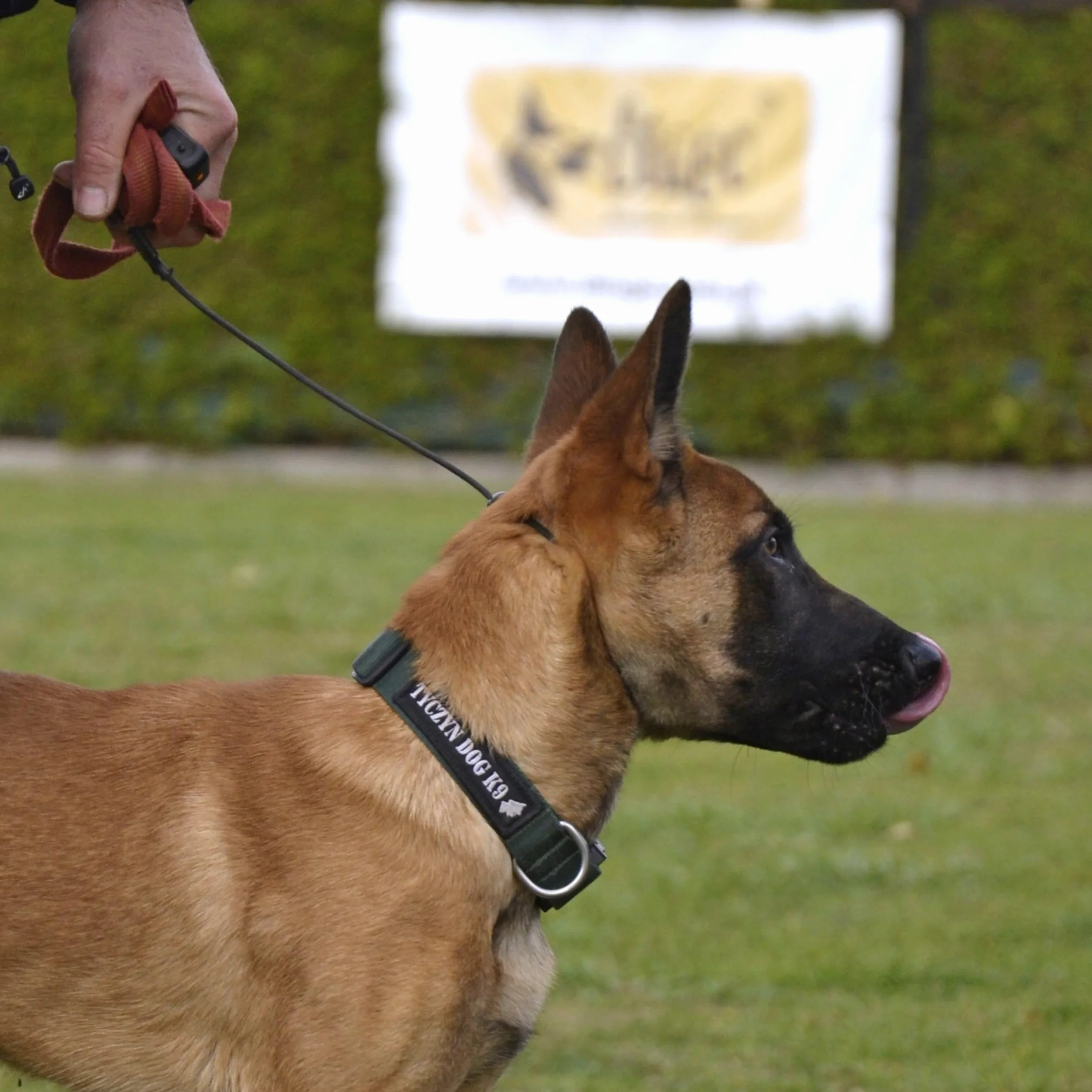Dingo Gear S04059 Collier étrangleur pour Dressage de Chien Fait Main en Cordon avec limiteur, étanche, Noir, S