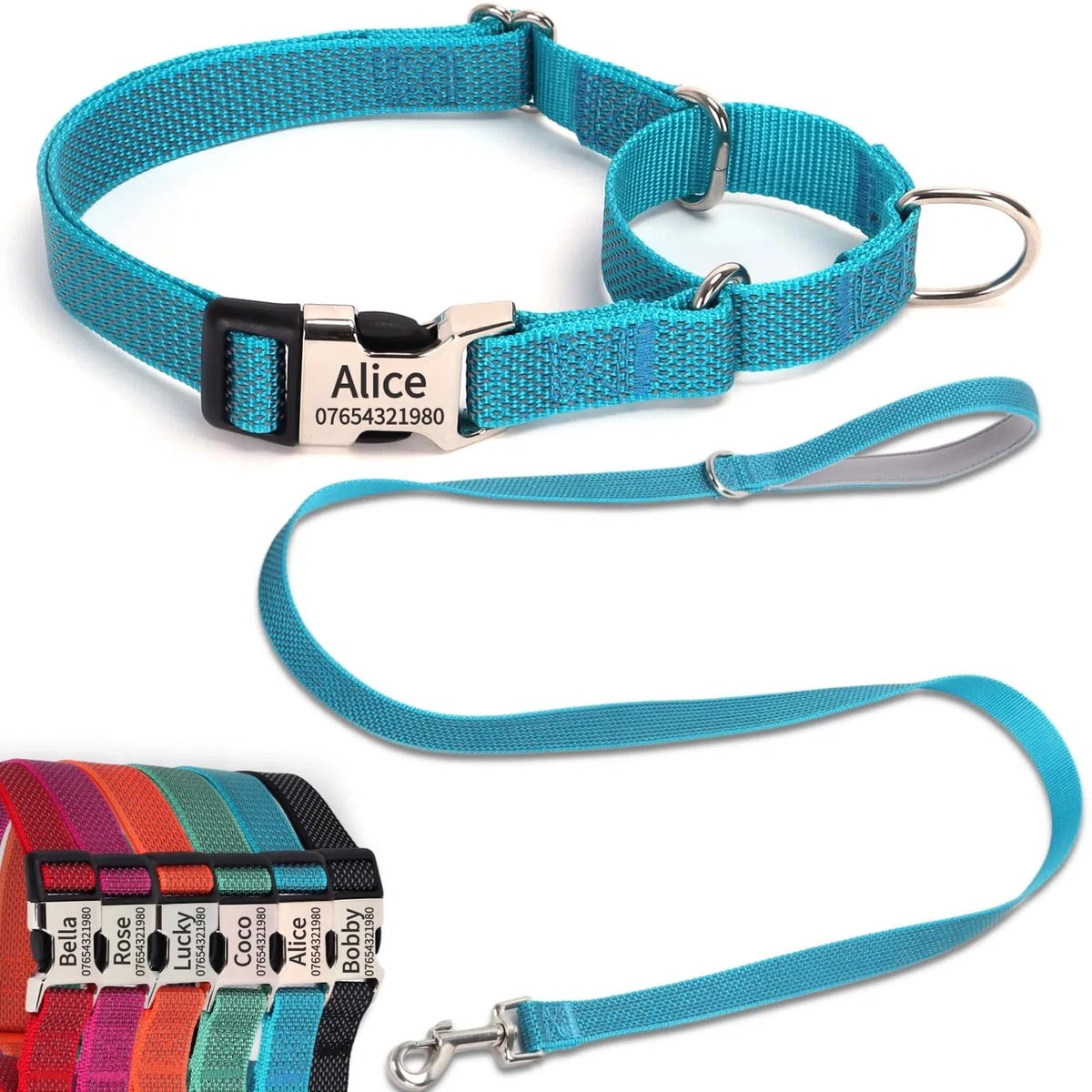 SEOUGEE Martingale Ensemble collier et laisse pour chien personnalisés en nylon réfléchissant anti-étranglement avec boucle gravée personnalisée - Dressage de la marche pour petits chiens (S bleu