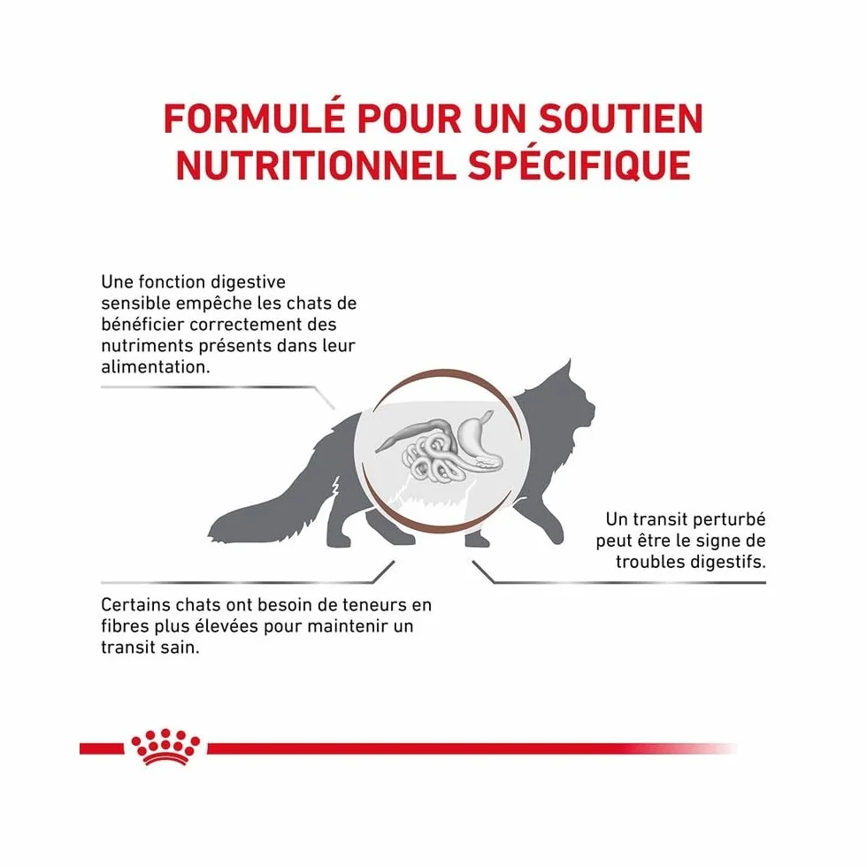 Royal Canin Gastro Intestinal Fibre Response | 12 x 85 g | Aliment Complet diététique pour Chats Adultes | Souffrant de Constipation Chronique ou de problèmes Gastro-intestinaux