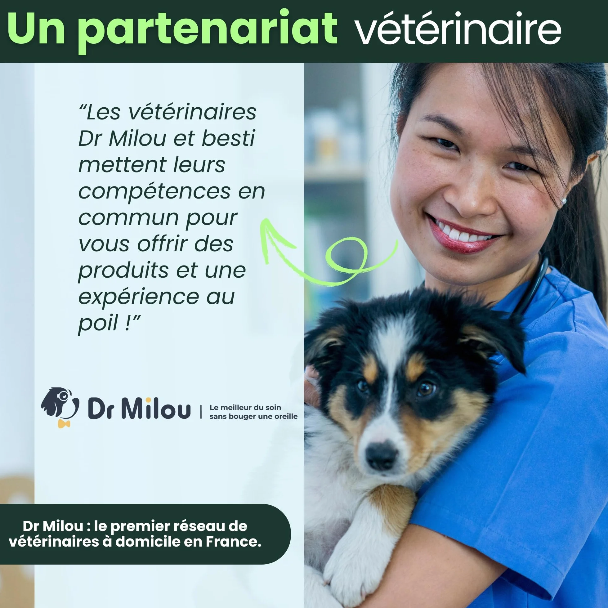 BESTI - 8 en 1 | 120 Compléments Alimentaires Premium Multi-Vit pour Chiens | Vitalité, Probiotiques, Articulations, Pelage, Coeur, Cerveau | Marque Française - Formule Vétérinaire | Au Poulet | 300gr