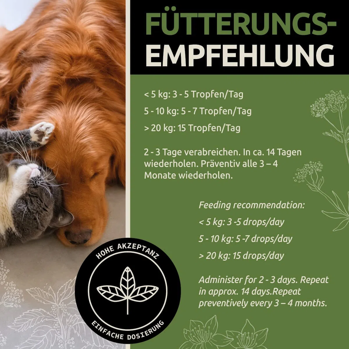 GreenPet Liquide Anti-vers pour Animaux domestiques 50ml – Avant, chez et après l'infestation de vers – Chiens, Chats, volailles, Oiseaux, Lapins & Animaux domestiques, sans Produits Chimiques