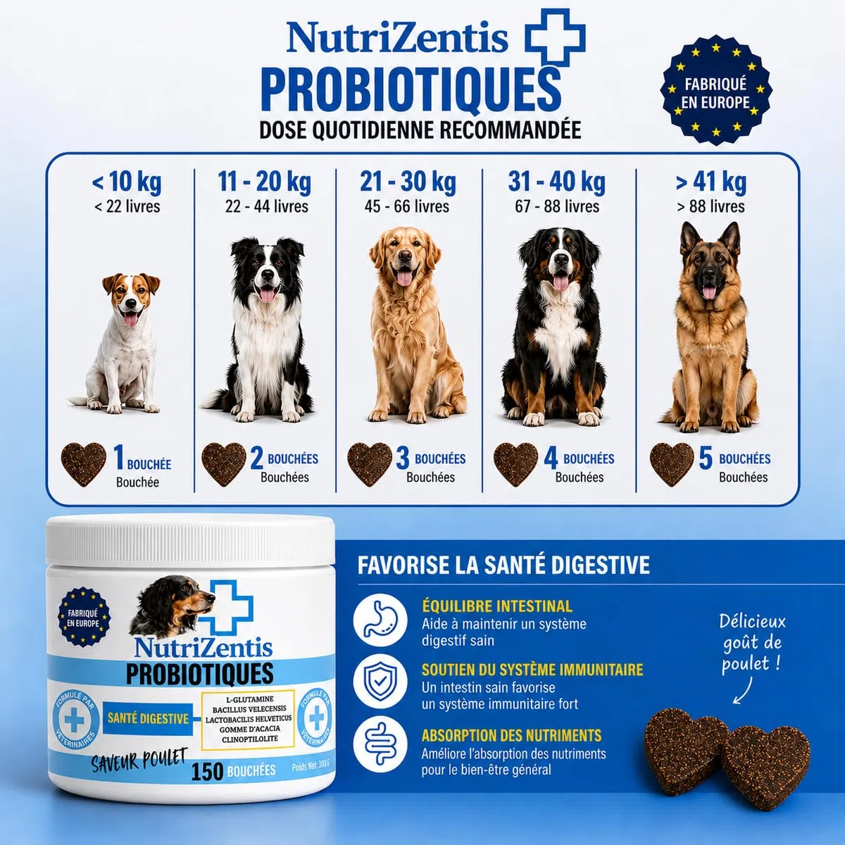 Probiotique Chien 150 Bouchées Répare la Flore intestinale du Chien, renforce Son système immunitaire, probiotiques pour Chiens | Fabriqué en Europe | 150 Bouchées au Poulet