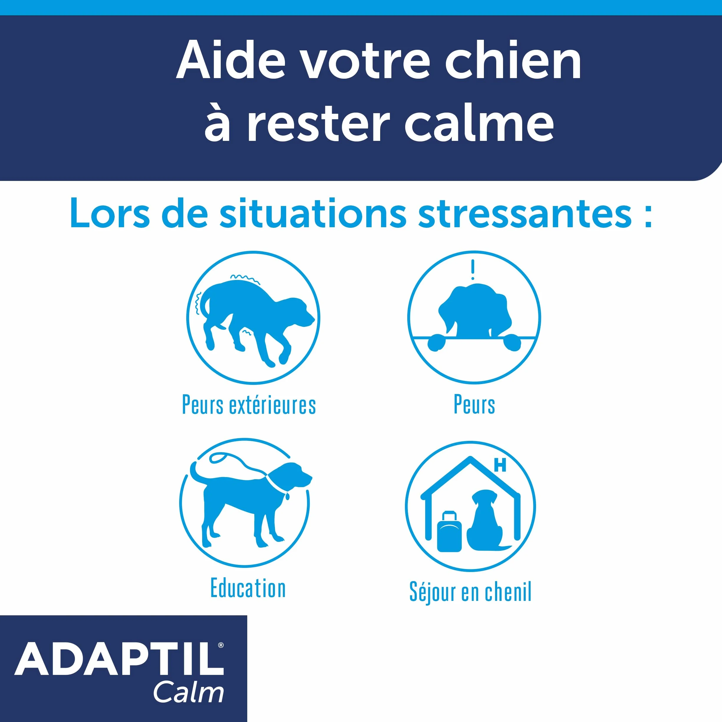 ADAPTIL Calm – Anti-stress pour chien – Collier Moyens et Grands Chiens – Taille M/L