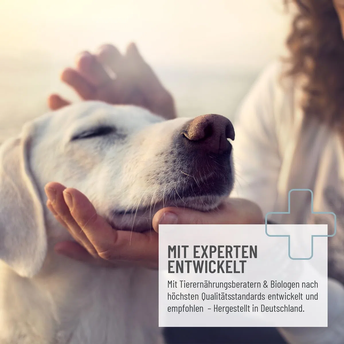 ReaVET Huile de lin pour chevaux et chiens,1 l,pressée à froid,Pure naturelle de qualité supérieure,Soutient la peau et le pelage + métabolisme,Huile de lin pour chien et chat,Sans additifs