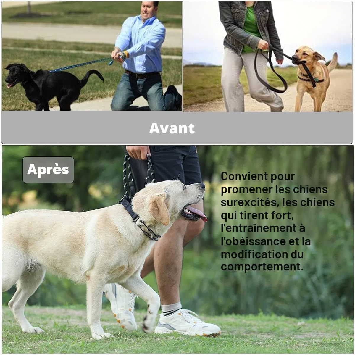 Collier de Dressage à Griffes pour Chien, Collier de chaîne réglable avec Embouts de Confort et Boutons-Pression à dégagement Rapide (XL)