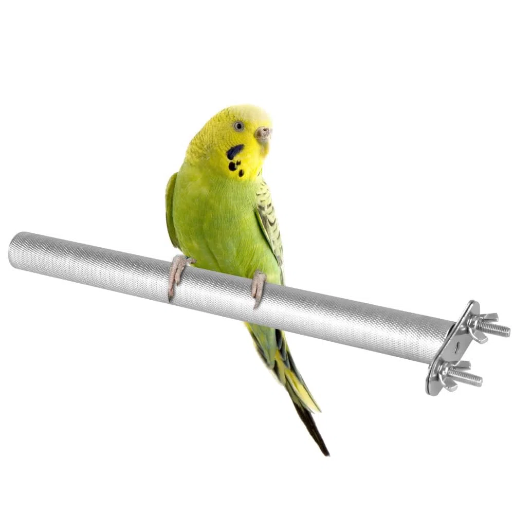 Perchoir en Acier Inoxydable pour Oiseaux,Griffes de Broyage pour Perroquets,Coupe-Bec,Ongles,Bâton de Meulage pour Oiseaux,Perroquets,Perruches,Calopsittes,Conures,Aras Gris D'Afrique,Pinsons