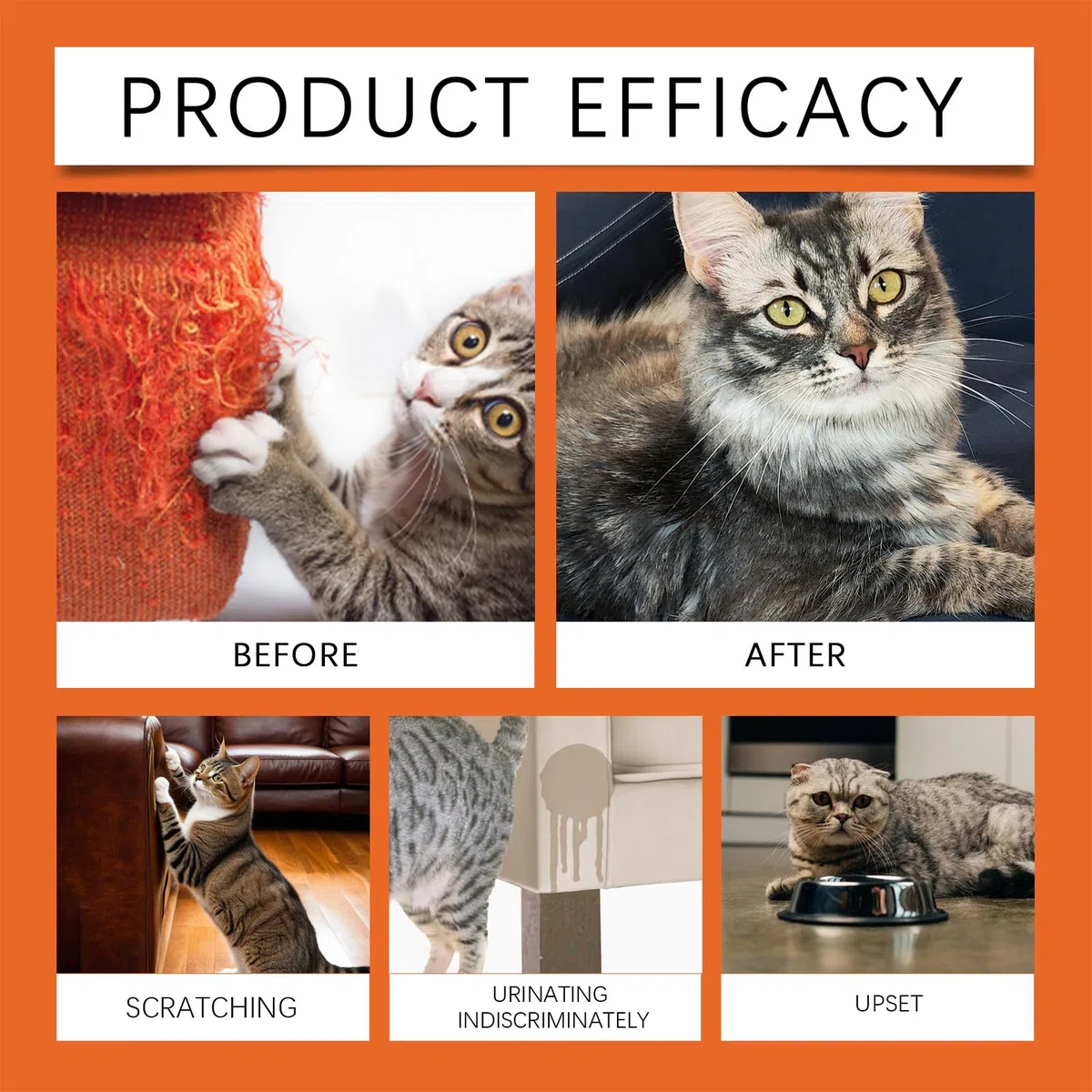 Générique Spray Anti Griffure Chat, Spray D'entraînement Chat, Protecteur de Meubles Contre Les Rayures de Chats pour Chats, Chiens, Intérieur et Extérieur, Canapé, Porte, Tabl 100 ML
