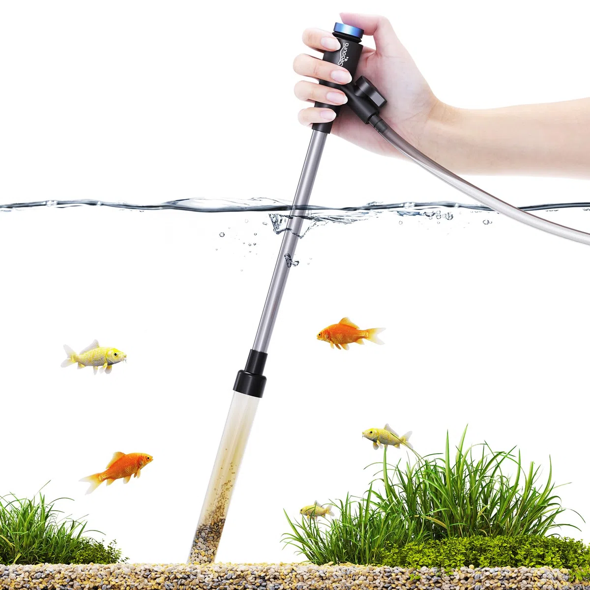 Pompe à siphon pour aquarium