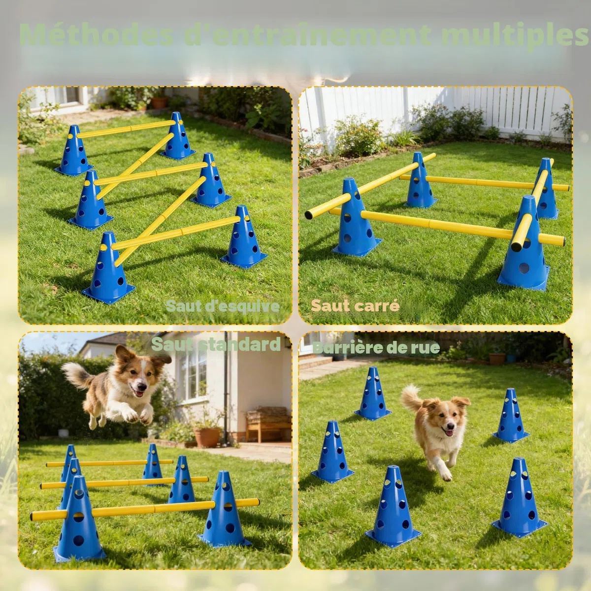 Cavaletti Lot de 6 accessoires d'agilité pour chien, obstacles, obstacles, loisirs, saut