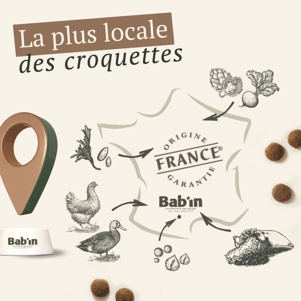 Babin Lab Mini Adulte Digestif 2KG - Croquettes pour Chiens Adultes de Petites Tailles (1 à 10 KG) - Naturelles, Saines et Équilibrées - Adaptées aux Besoins Nutritionnels - Riche en Poulet