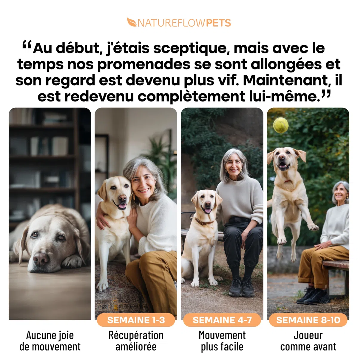 Comprimés Anti Arthrose Chien Senior & Sport | Articulations, Mobilité – Moule Verte, Harpagophytum, Glucosamine, Chondroïtine, MSM – 100 Comprimés Sécables (6 Mois <20 kg) [172 Z]