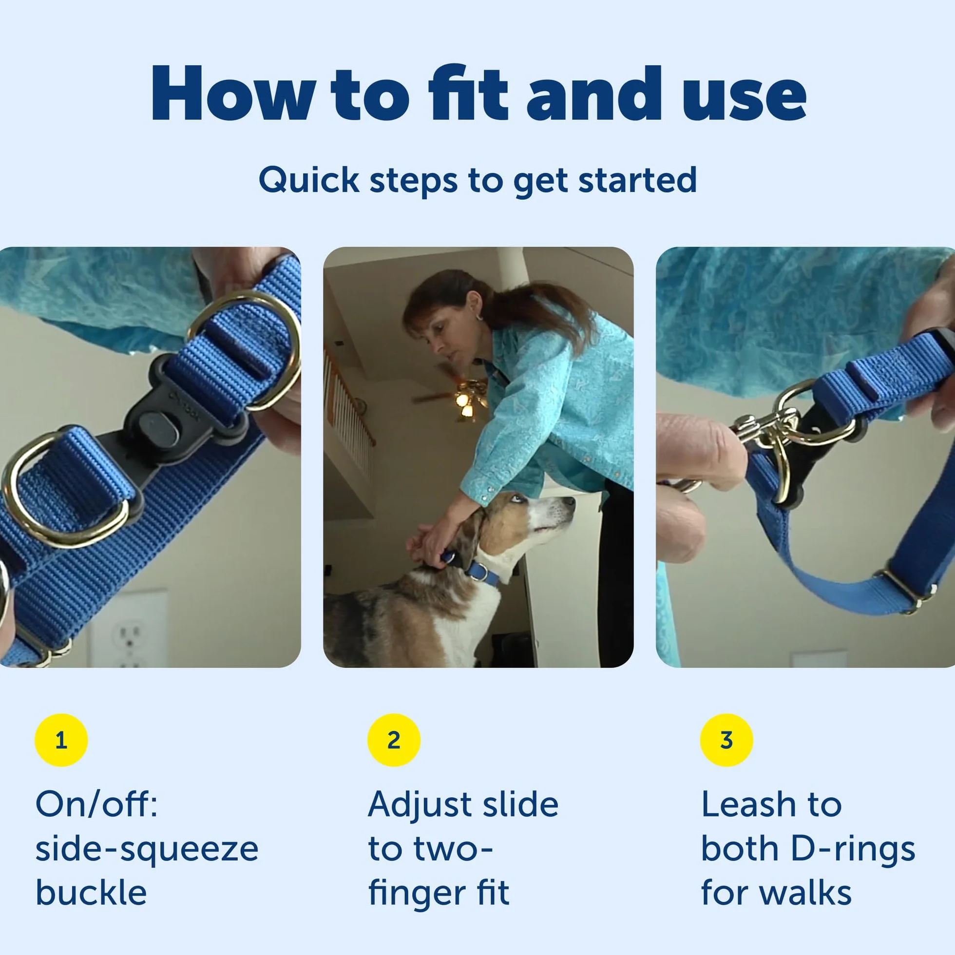 PetSafe KeepSafe Collier avec système Anti-étranglement pour Chien