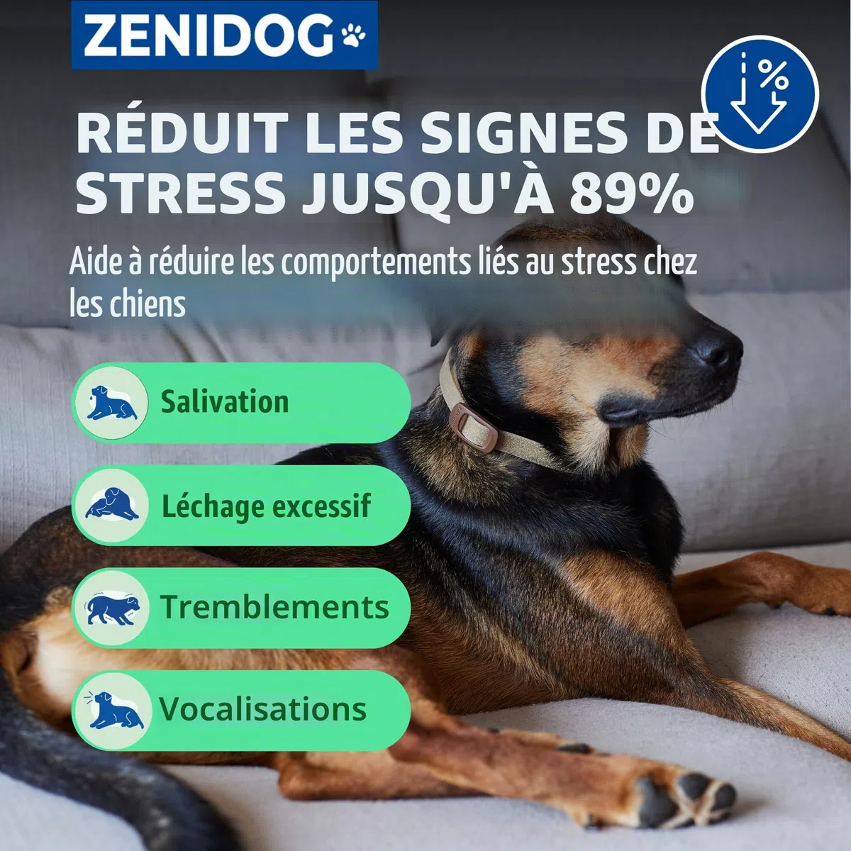 Virbac Zenidog Collier Apaisant pour Moyen et Grand Chien - Collier Chien apaisant Phéromones - Bien-être