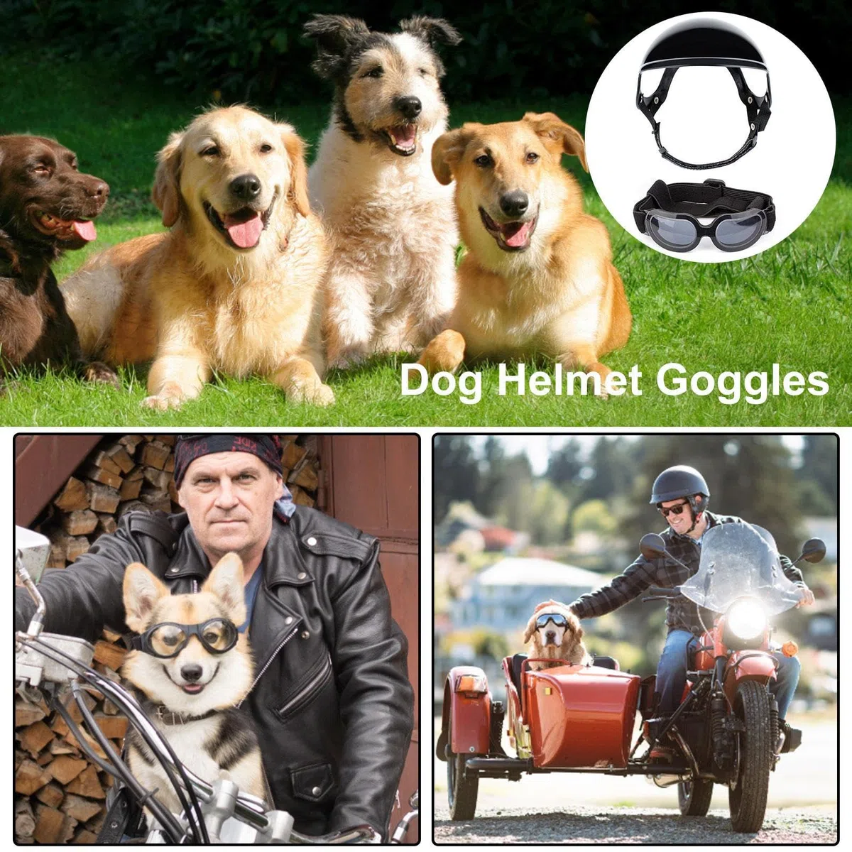 Motos pour Chiens, Casque Moto pour Animaux, Casque pour Animaux Compagnie avec Lunettes Ajustable Casque Lunettes Soleil Colorées pour Petits Chiens, Chats