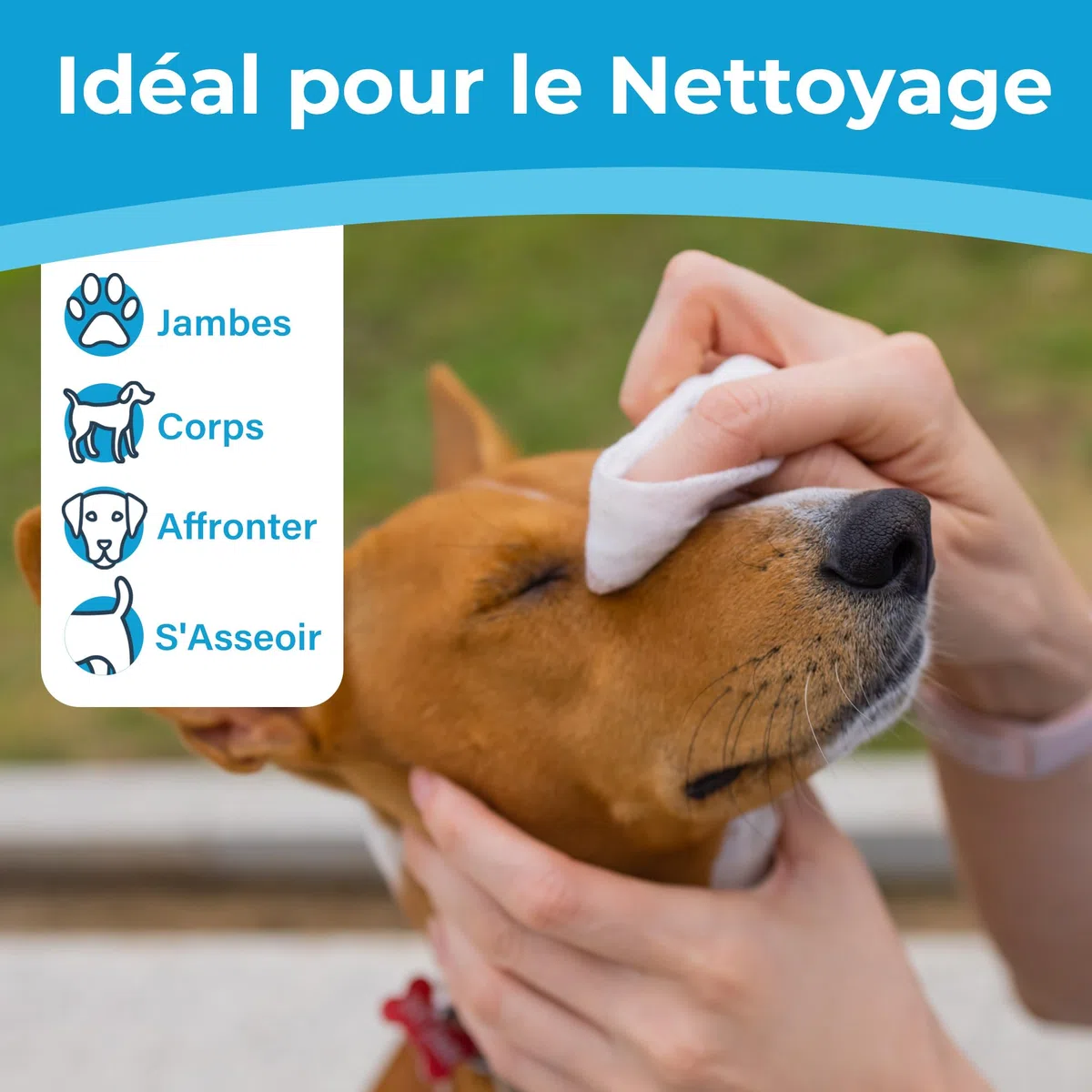 PrimePets Lingette Chien 600 Lingettes Nettoyantes pour Chiens Chats Animaux Domestique, Lot de 6 pour Nettoie Pattes Yeux Oreilles sans Parfum