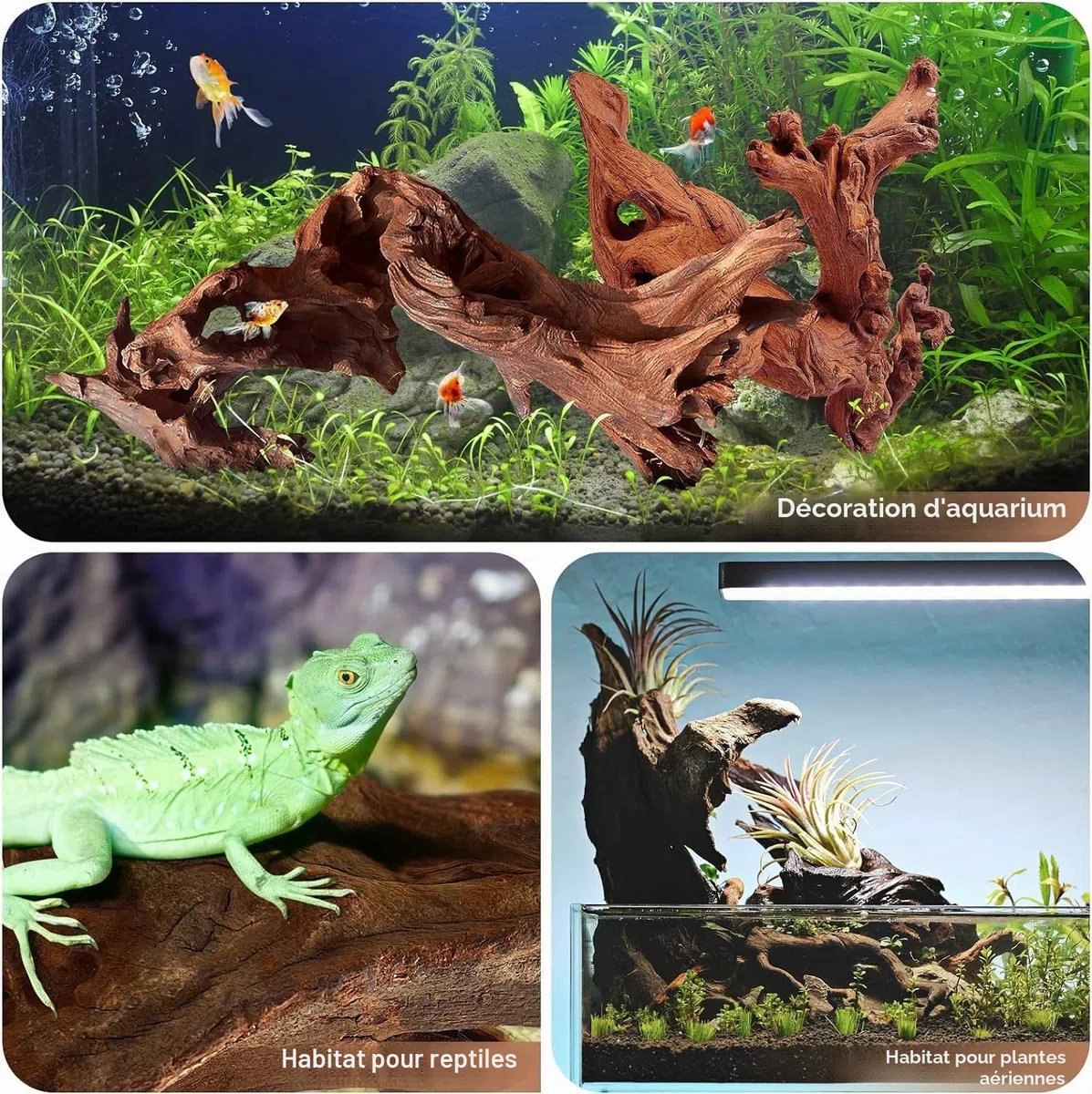 Jorewood Bois flotté Naturel pour Aquariums et terrariums de Reptiles – Décorations sûres pour Aquarium, Branches torsadées Uniques de 17,8 à 27,9 cm, tanin Bas, Facile à couler