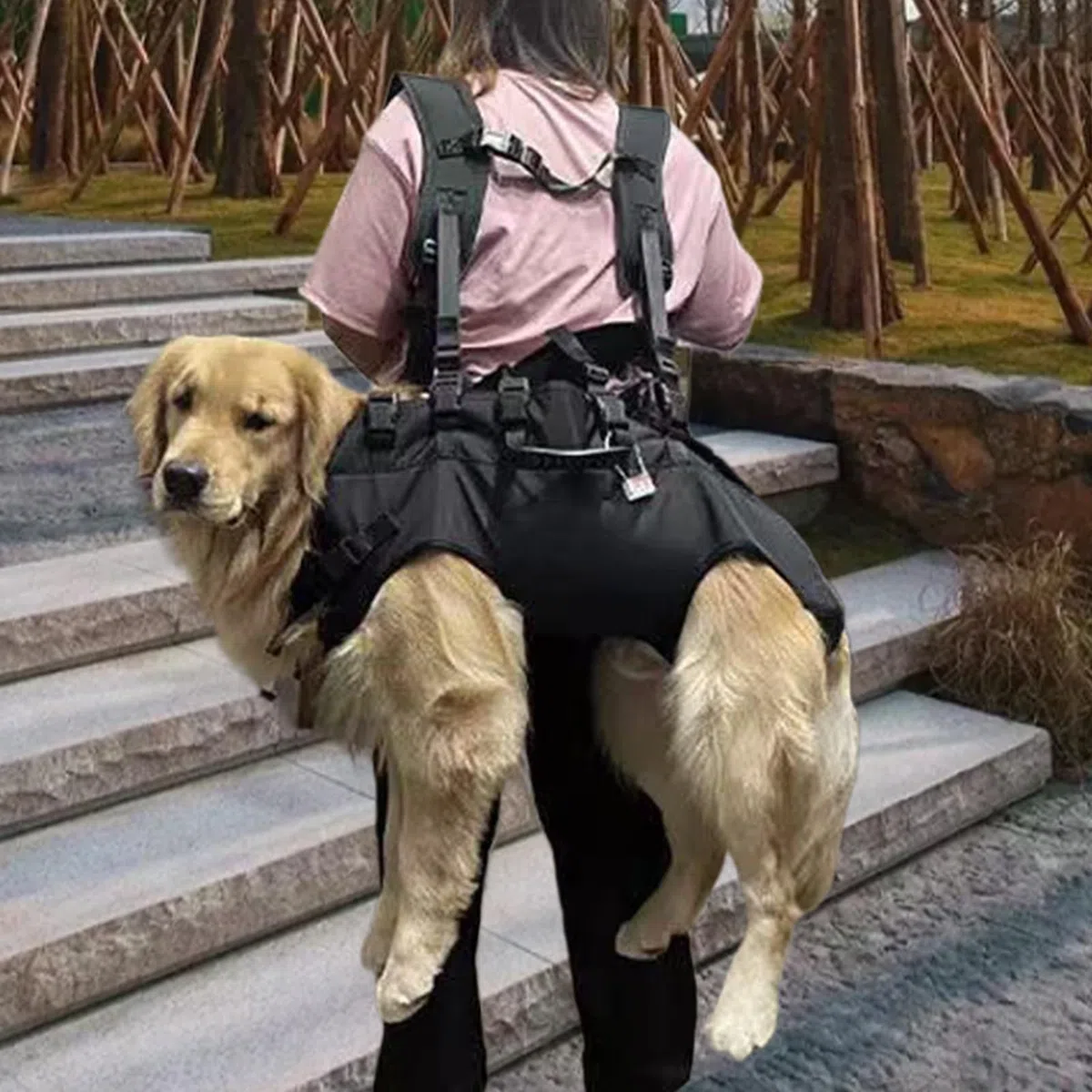 Écharpe de transport réglable et respirante pour chien, sac à dos de randonnée pour moto, voyage pour personnes handicapées pendant la marche, le toilettage, les escaliers, le sauvetage