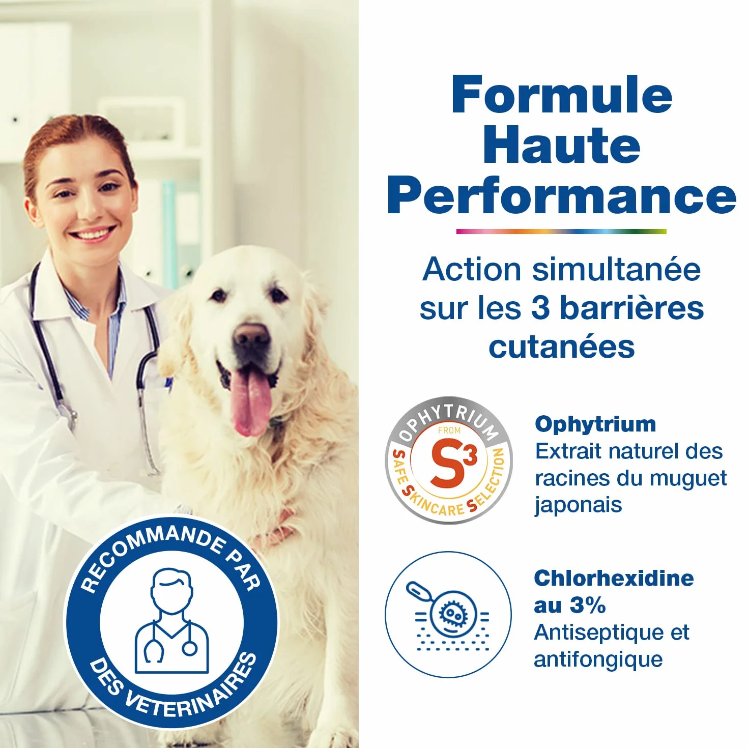 Douxo S3 PYO Shampooing nettoyant, désinfectant et apaisant pour Chiens et Chats avec des irritations, des Boutons ou des croûtes, 500ml