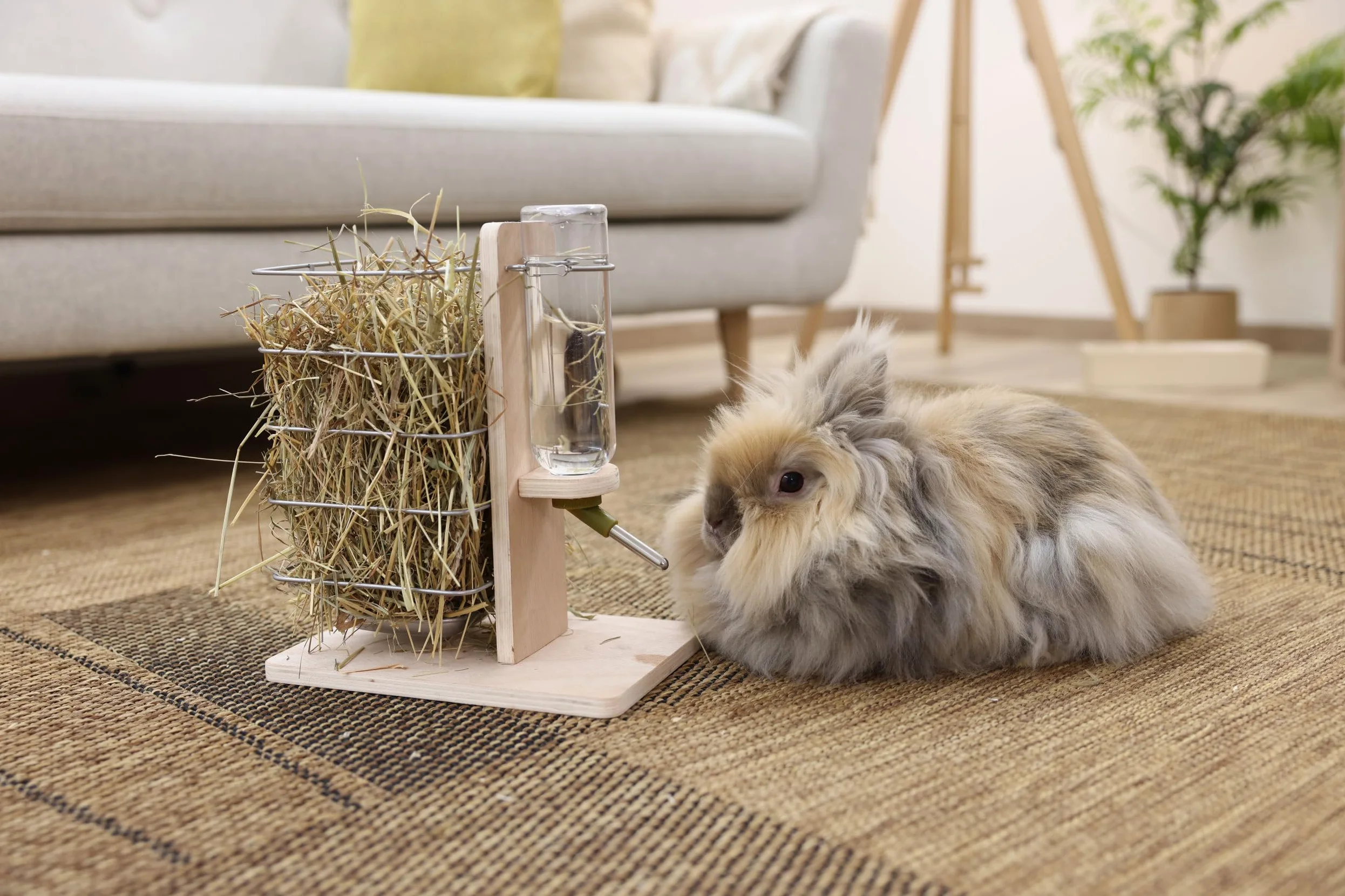 Kerbl Pet Station d'abreuvement et d'alimentation, 22,5x15,5x27cm, Bois Naturel, pour rongeurs, intérieur et extérieur