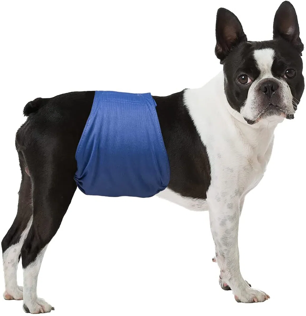LeerKing Couches pour Chiens Male Lavable Lot de 3 Bandeau Ventrale Réutilisables Très Absorbantes pour Chiens Anti-Pipi Incontinent de Petite Moyenne et Grande Taille L
