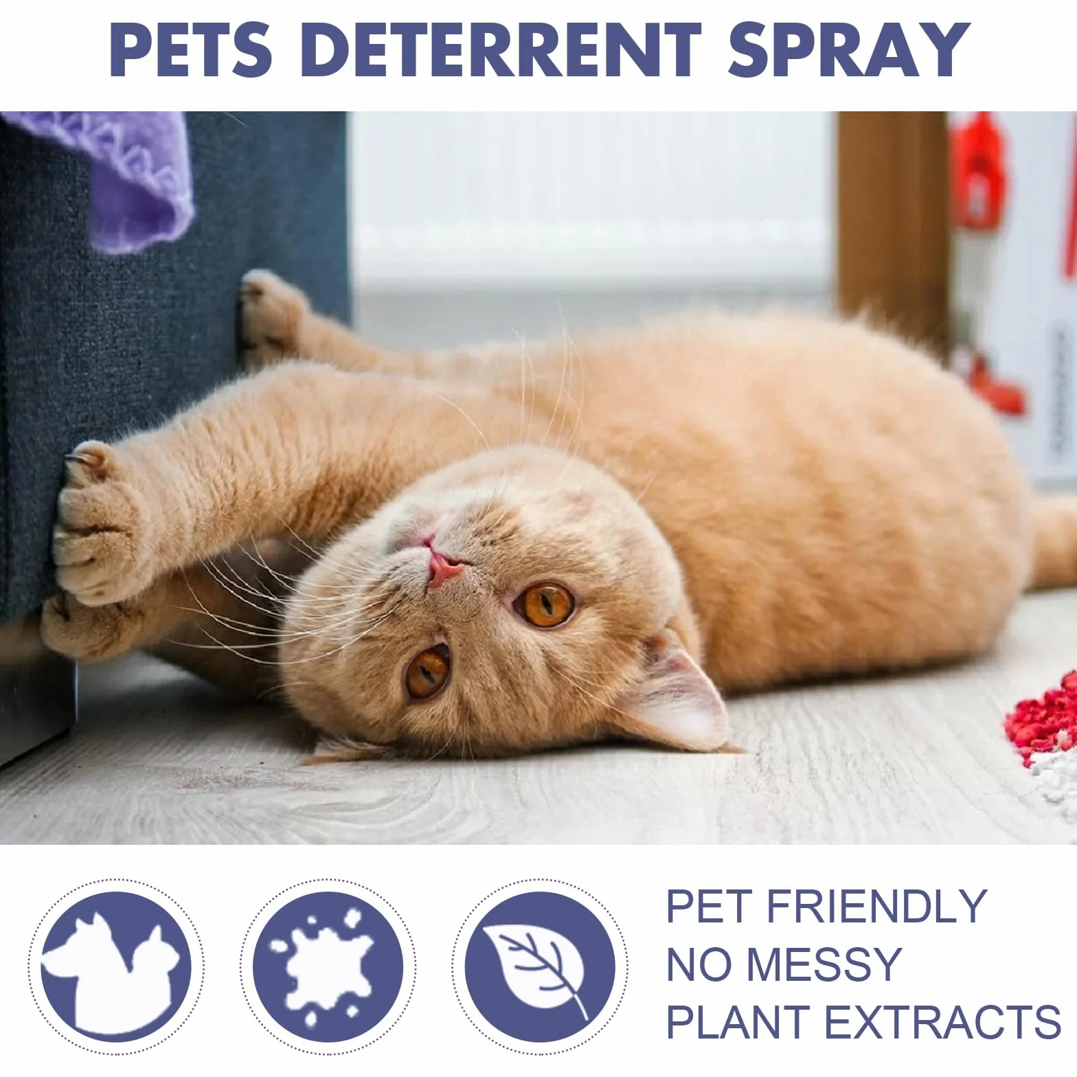 Spray anti-rayures pour chats, spray anti-rayures pour chats, protection contre les rayures pour chat et chien, spray de rétention pour chat, résistant aux rayures pour canapé, meubles,