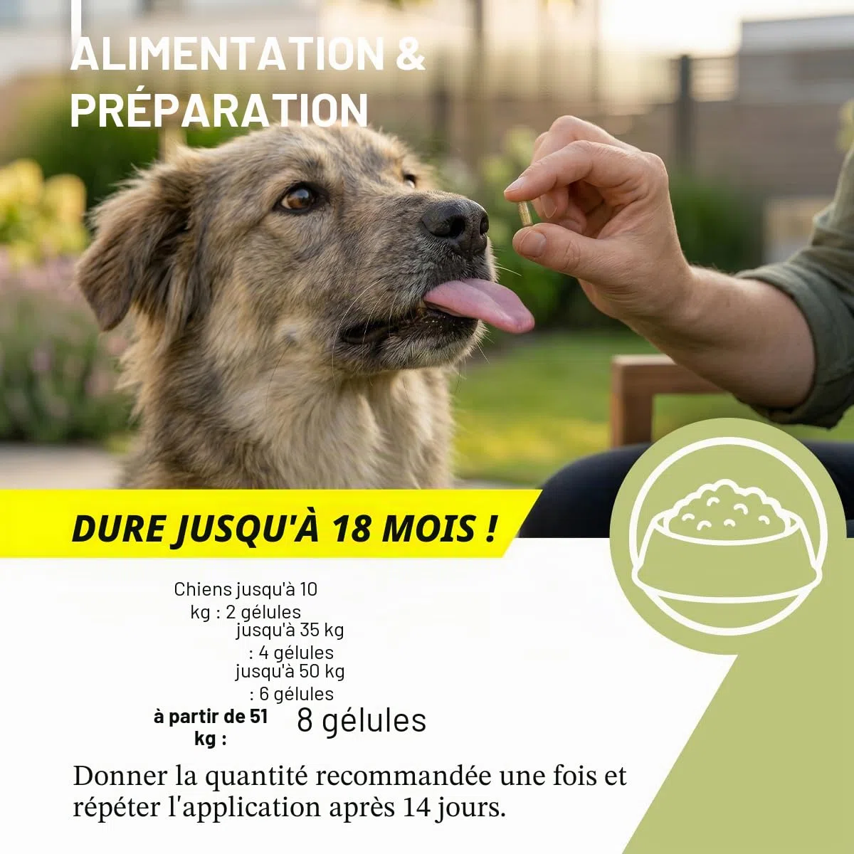 ReaVET Lot de 50 gélules d'herbes vermifuges secondaires pour chiens - Formule naturelle végétale - Vermifuge secondaire - Sans anthelminthique