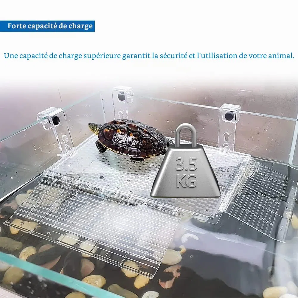 Grande plate-forme pour tortues - Rampe pour tortues - Accessoires pour tortues - Avec échelle rocheuse - Pour installation d'aquarium (L)