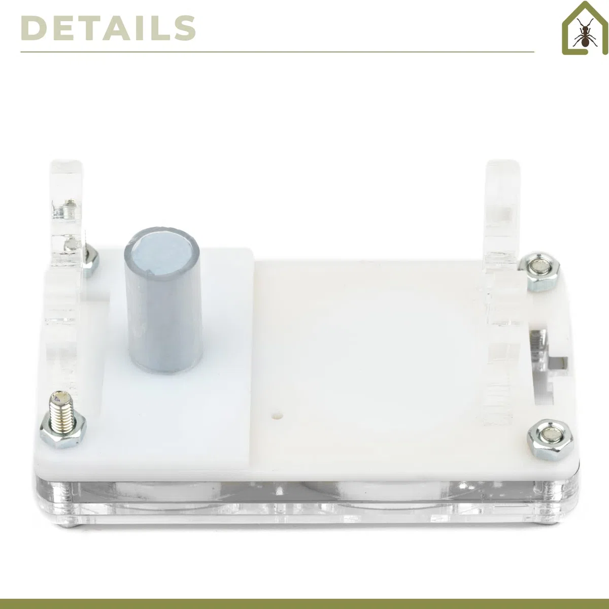 AntHouse - Fourmilière Acrylique 9x5x1,3 cm | Système d'humidification par Champignon | Transparent | Fourmis gratuites incluses