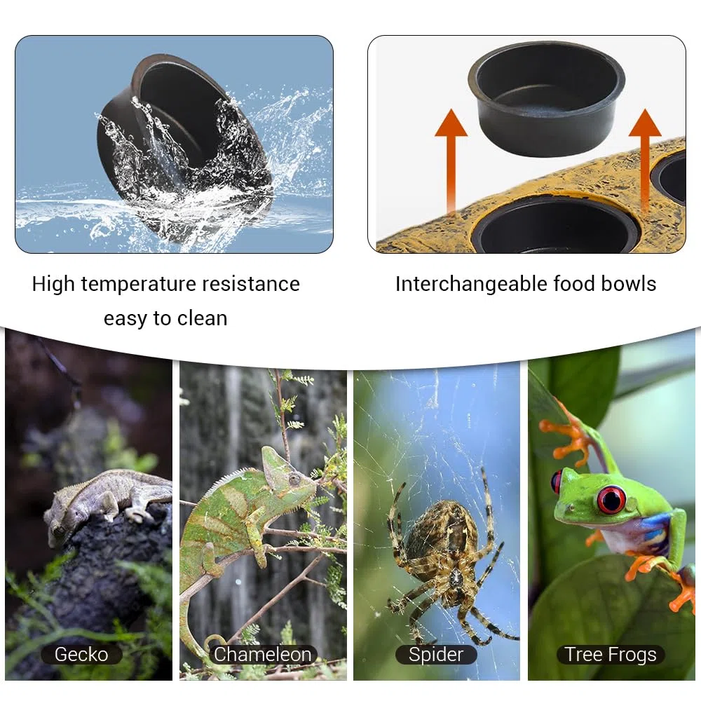 MiOYOOW Mangeoire Magnétique pour Reptiles, Récipient à Eau Ou Nourriture Décoratif Pierre, Bol d'alimentation Double Détachable, pour Grenouille, Tortue, Lézard, Serpent, Reptile, Gecko