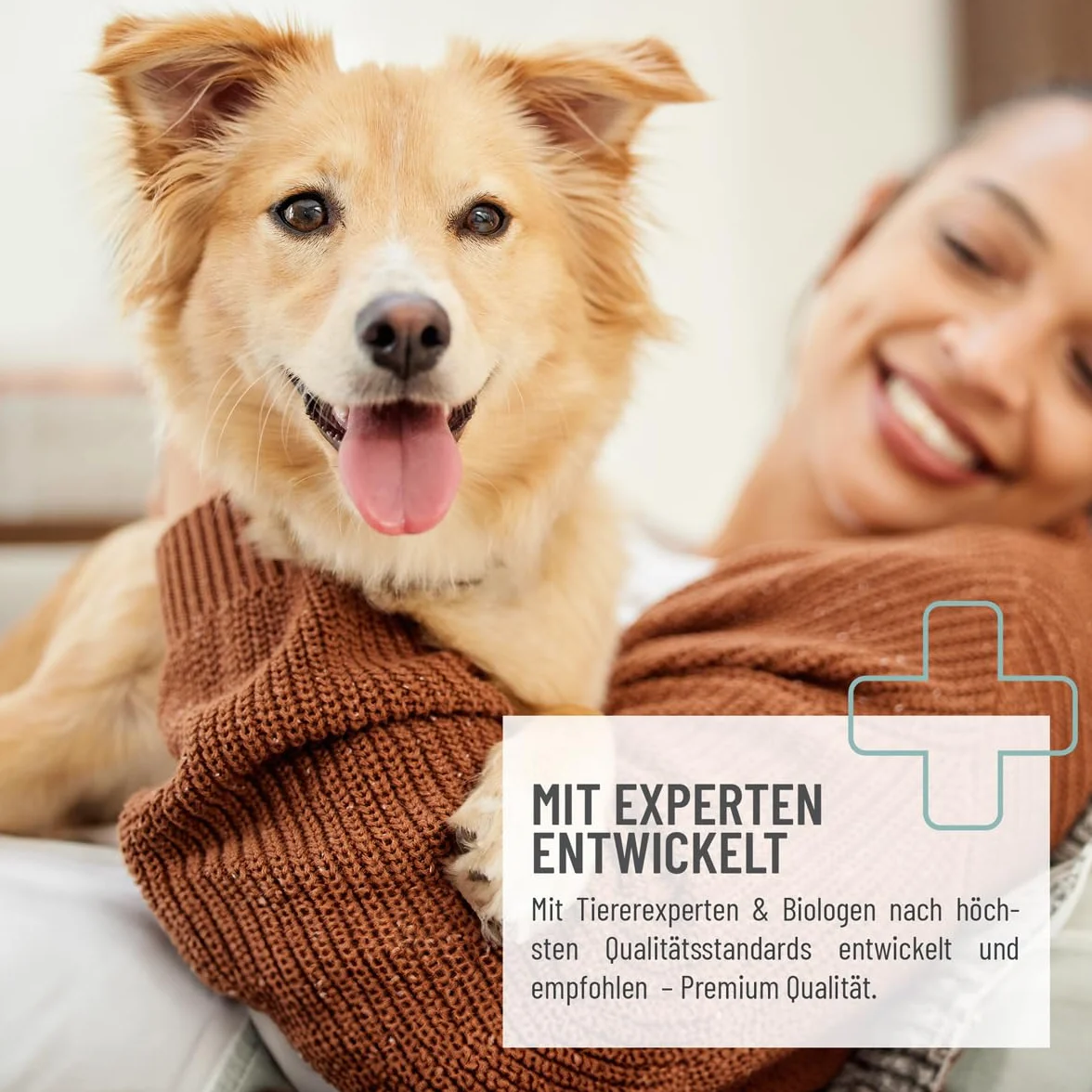 ReaVET lingettes de soin chien, 100 pièces, lingettes humides XXL chien, lingettes de soin chiens, lingettes humides fond de chien, extra larges lingettes nettoyantes hypoallergéniques