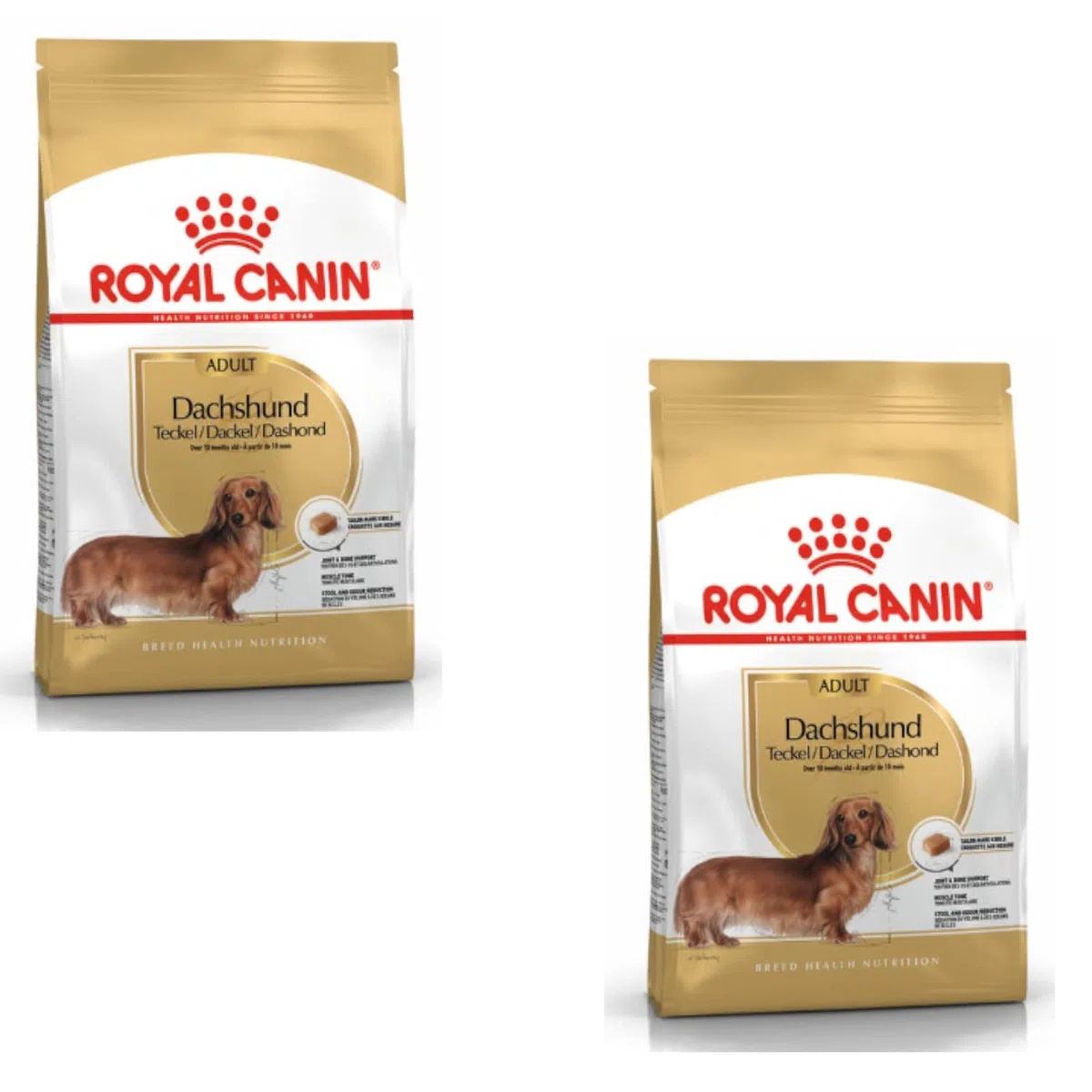 Royal Canin Teckel Adulte | Pack Double | 2 x 500 g | Aliment Complet pour teckels Adultes à partir de 10 Mois