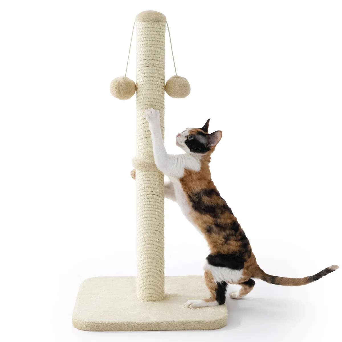 Lesure Griffoir pour Chat Intérieur - 36x36x74cm Arbre à Chat intérieur en sisal avec Balle Suspendue, Grande stabilité pour Chat et Chaton, Beige