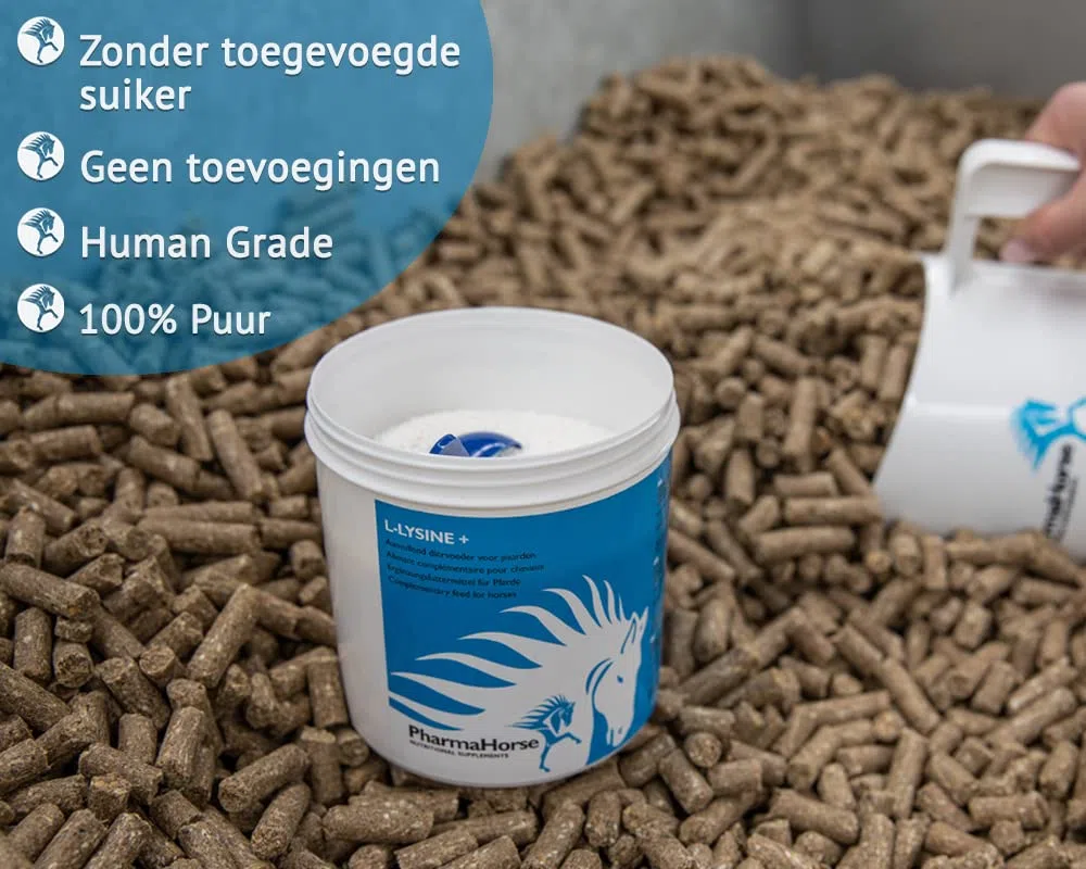 PharmaHorse L-Lysine+ | Système immunitaire Cheval | Acide aminé Cheval | Production de protéines corporelles | Réduction Fatigue | 1000 grammes