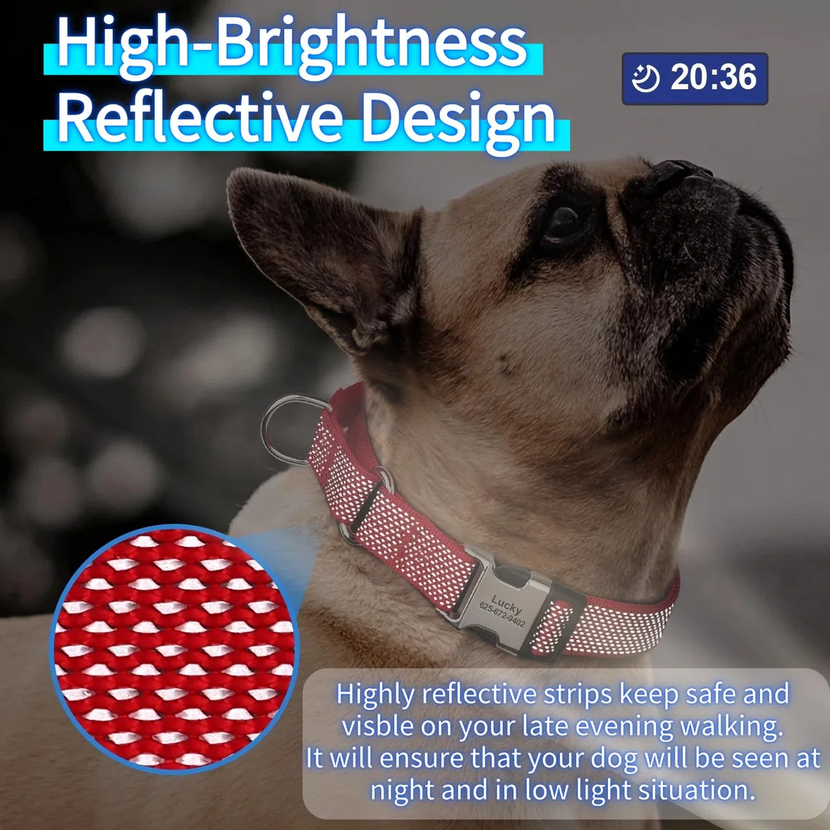 SEOUGEE Martingale Ensemble collier et laisse pour chien personnalisés en nylon réfléchissant anti-étranglement avec boucle gravée personnalisée - Dressage de la marche pour petits chiens (S bleu