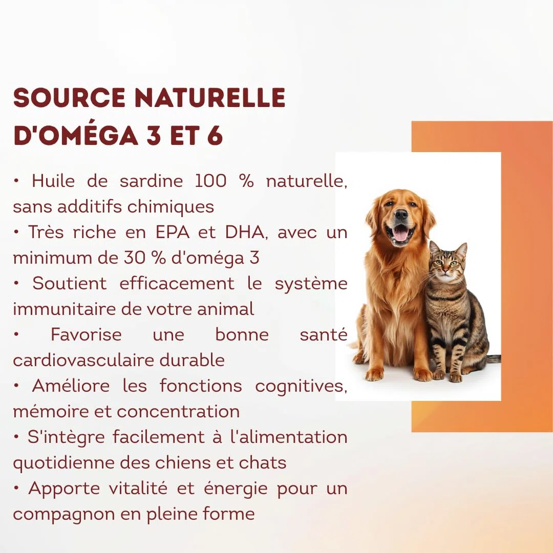 1L Huile de Sardine 100% Naturelle pour Chiens, Chats et Chevaux, Très Riche en Oméga 3-6-9 et Vitamines E | Fabriqué en UE