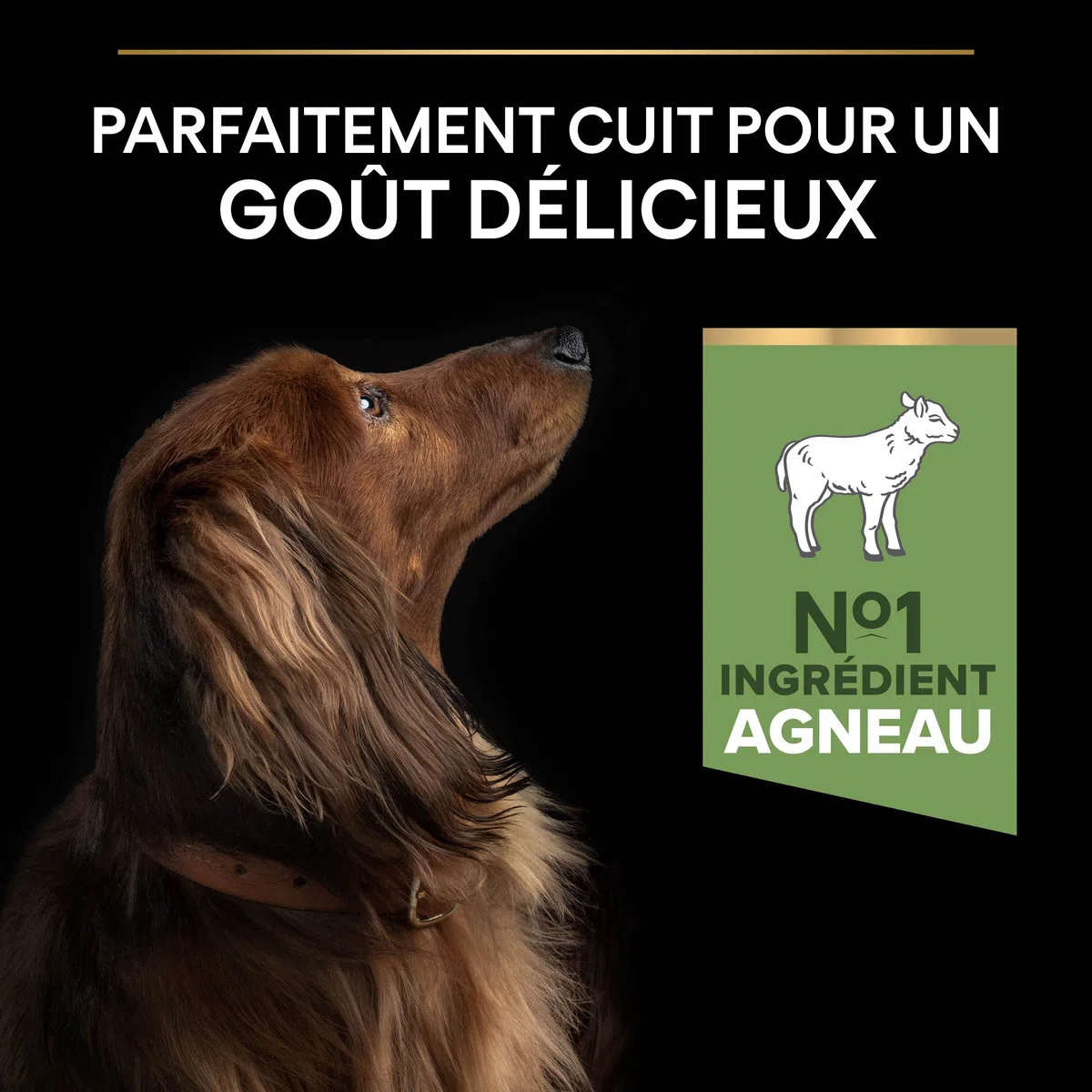 PURINA PRO PLAN | Sensitive Digestion | Croquettes complètes pour chiens adultes de petite taille | Favorise un système digestif sain | Riche en Agneau | Sac | 3 Kg