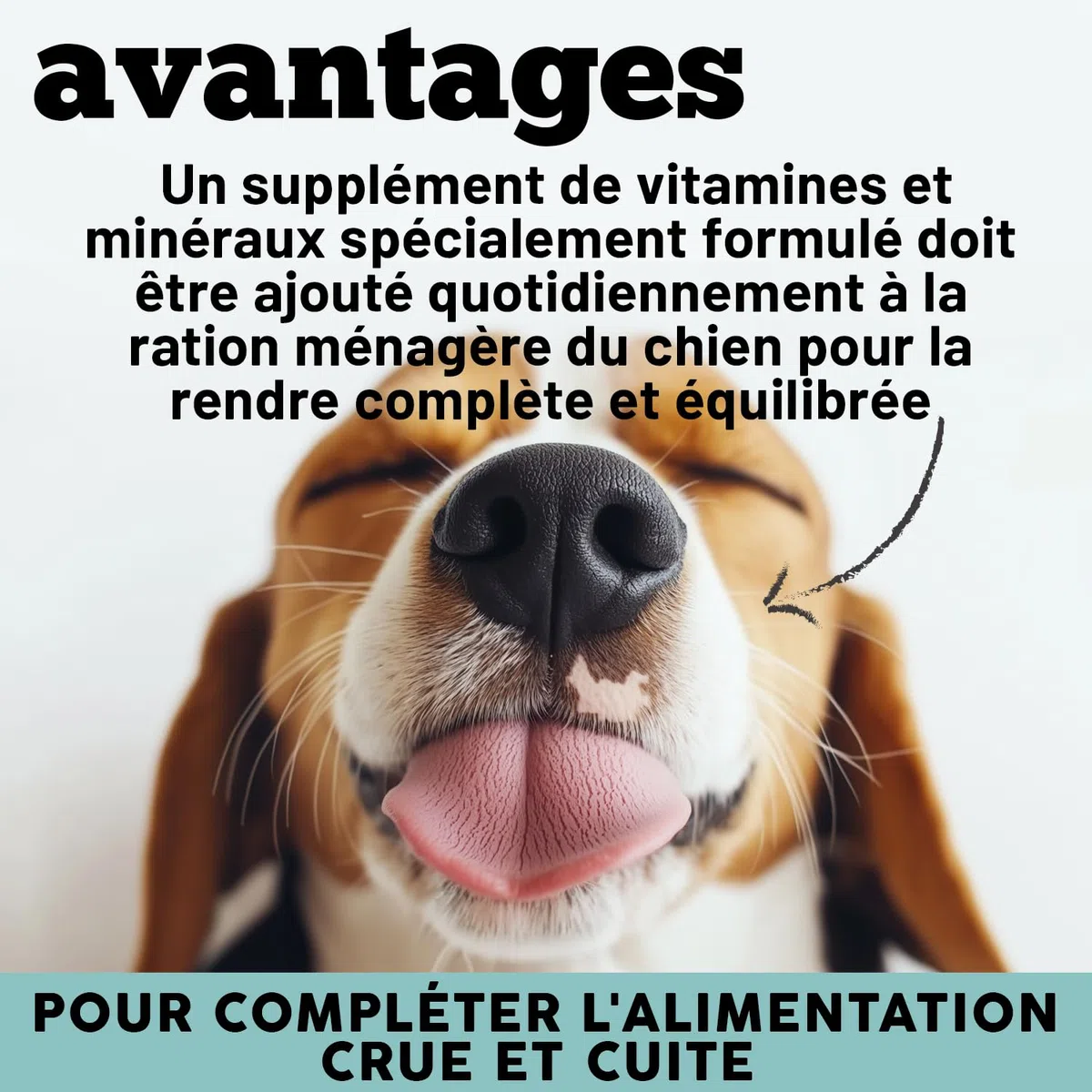 Multivitamines pour Chiens | Équilibre la Diète Maison et Barf | 12 Vitamines + 10 minéraux | avec Algue Spiruline | en Poudre | 220g