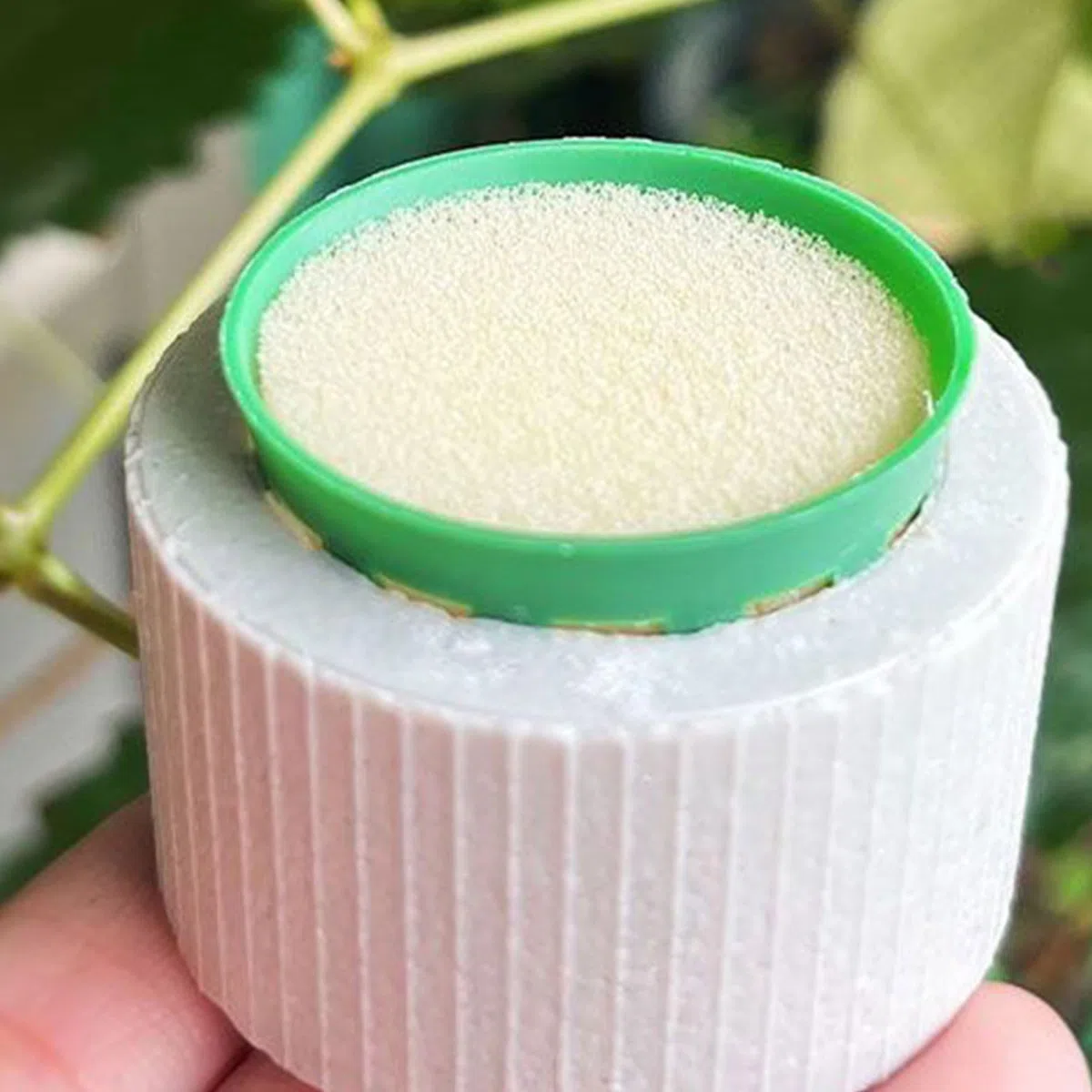 Lot de 30 poids d'ancrage en céramique pour plantes aquatiques avec panier éponge pour culture stable des plantes sous-marines